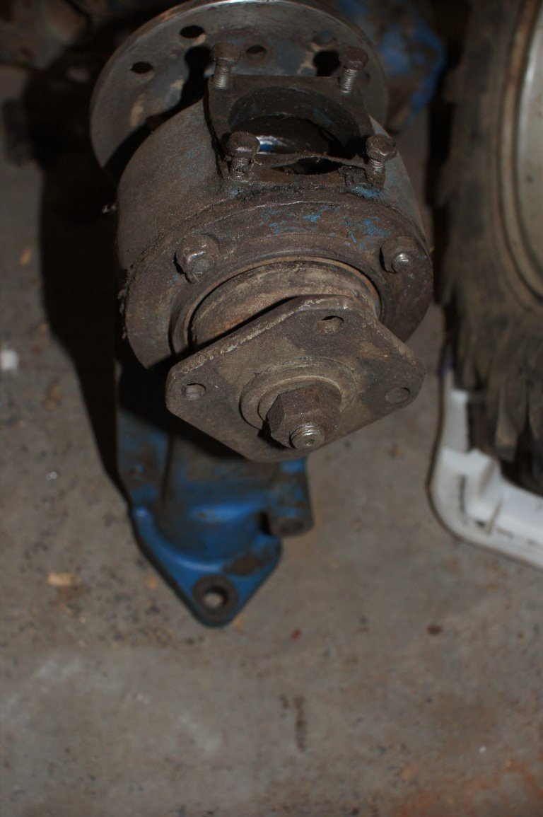 DSC07128 (Medium).JPG