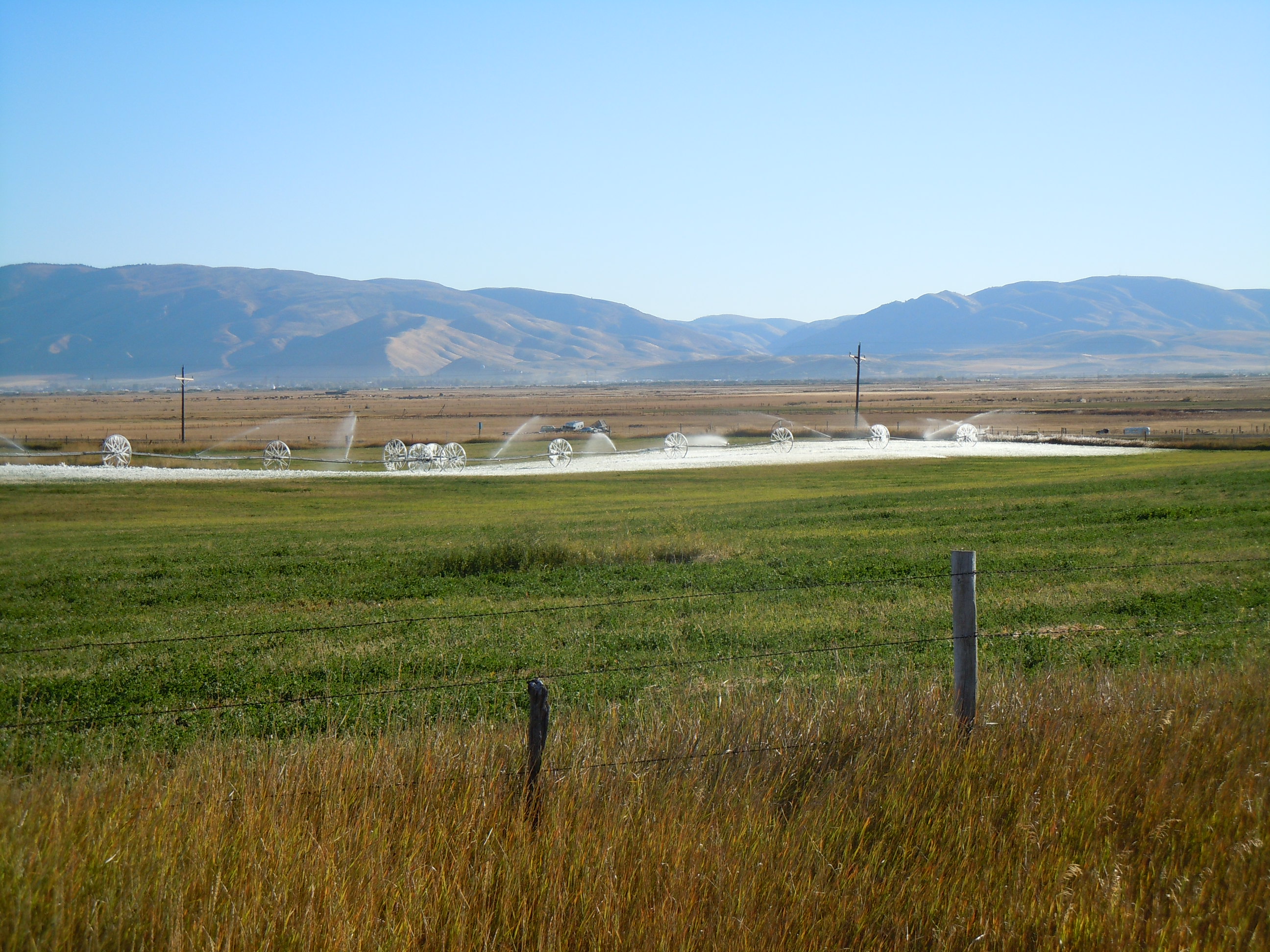 DSCN3233.JPG