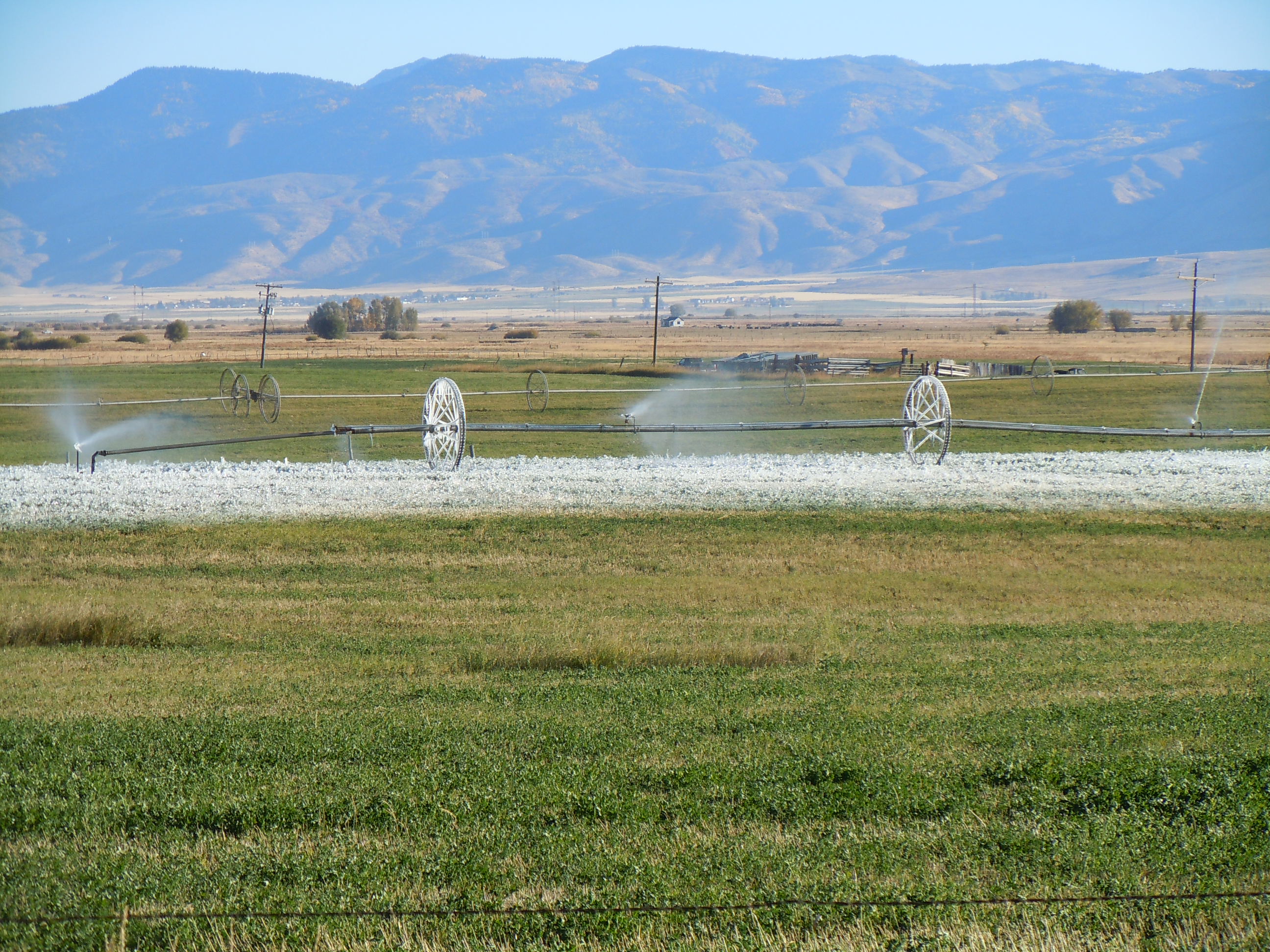 DSCN3234.JPG