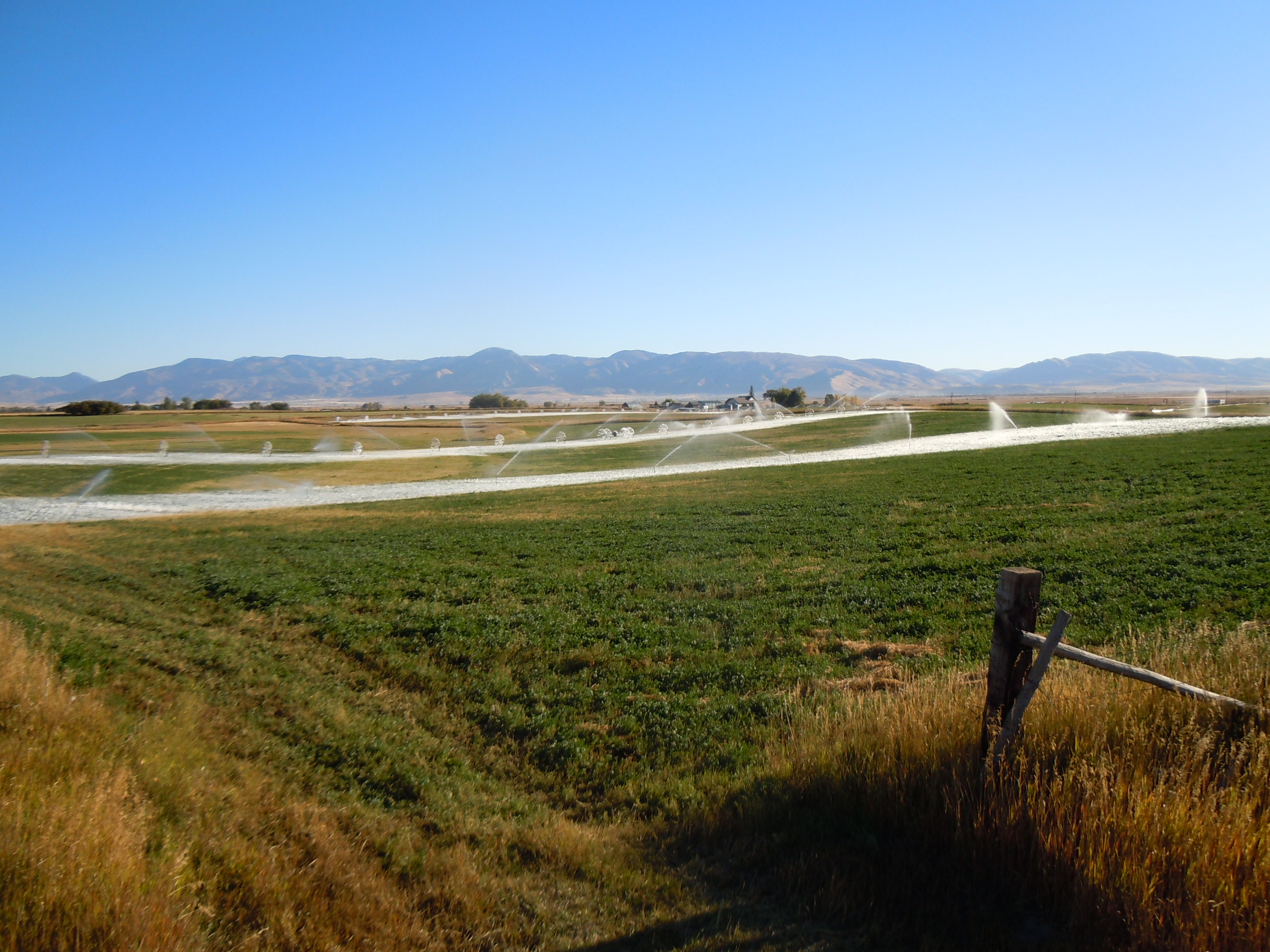 DSCN3235.JPG