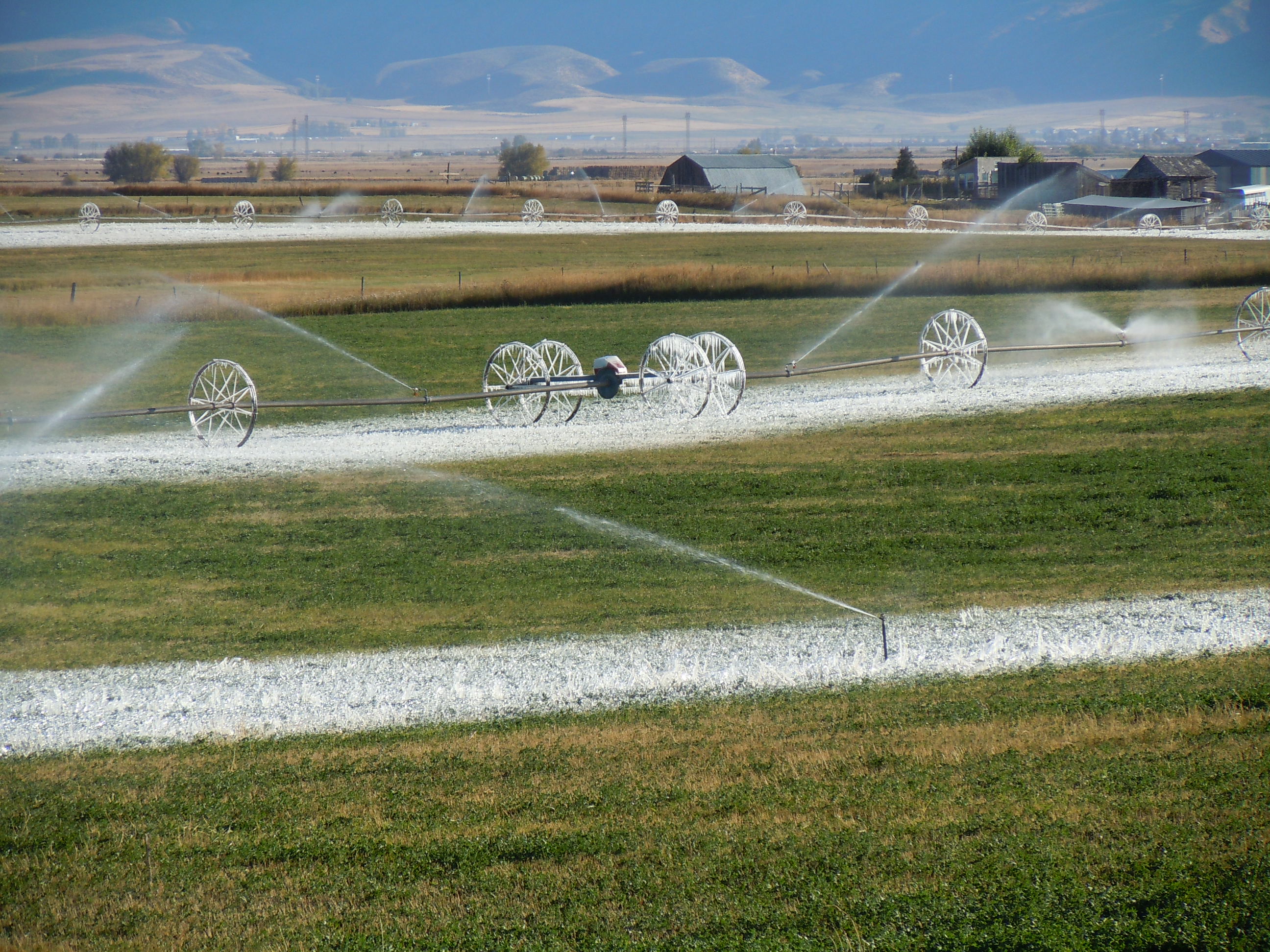 DSCN3236.JPG