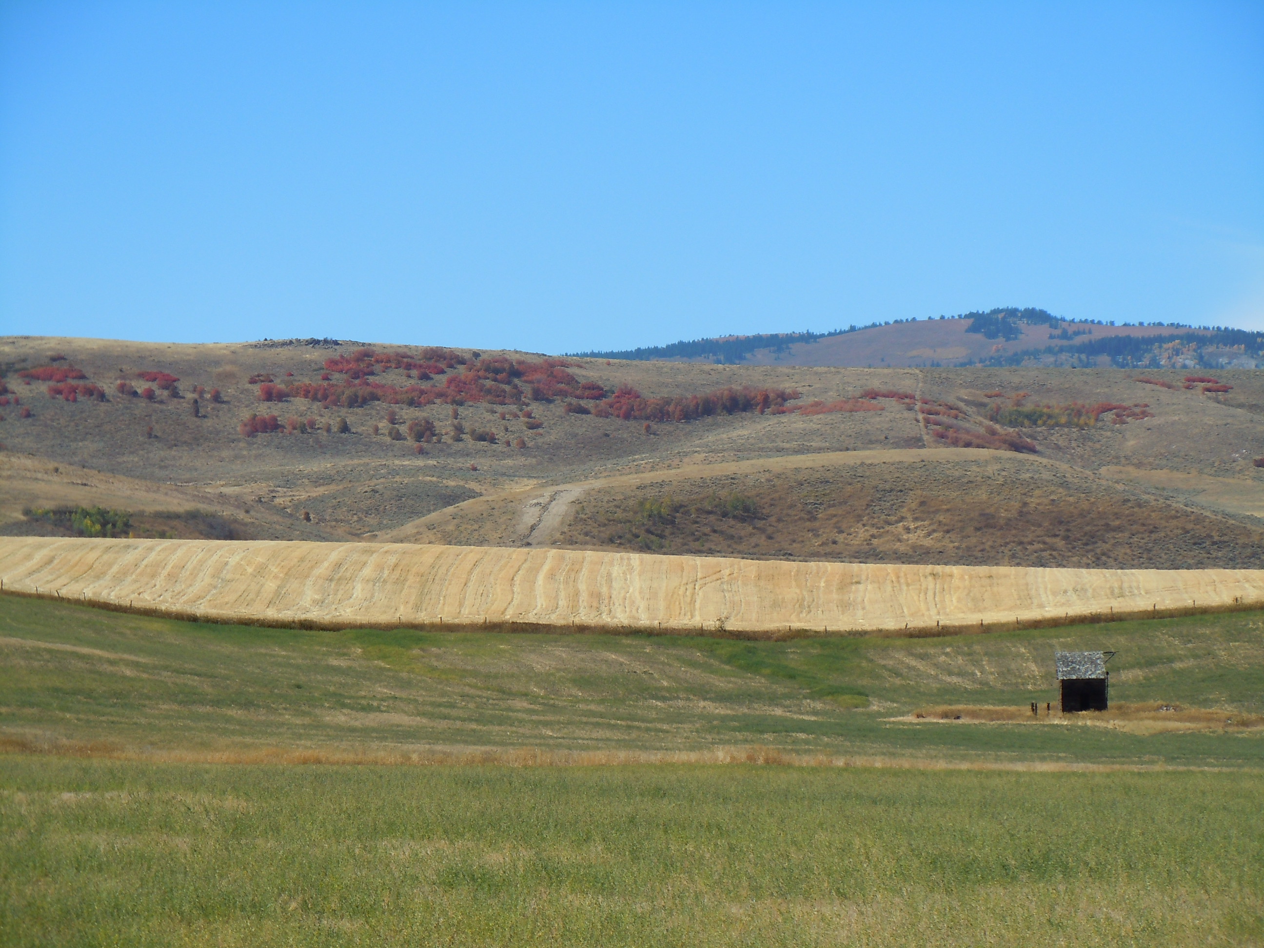 DSCN3262.JPG