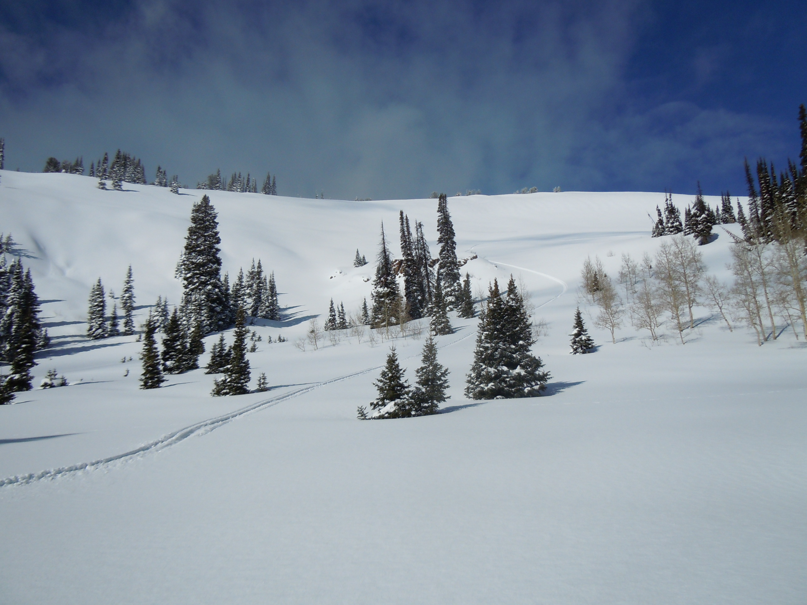 DSCN3513.JPG