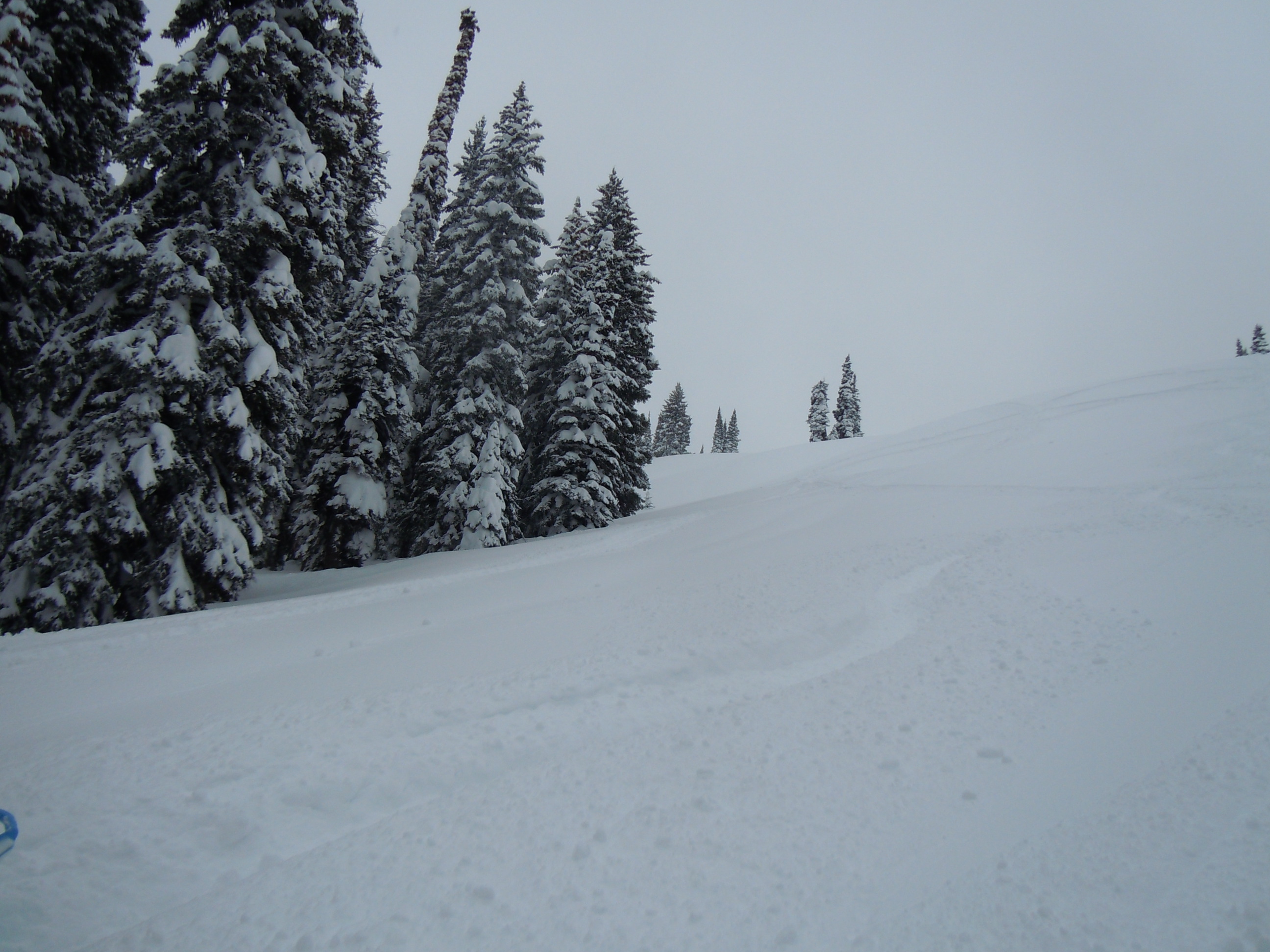 DSCN3516.JPG
