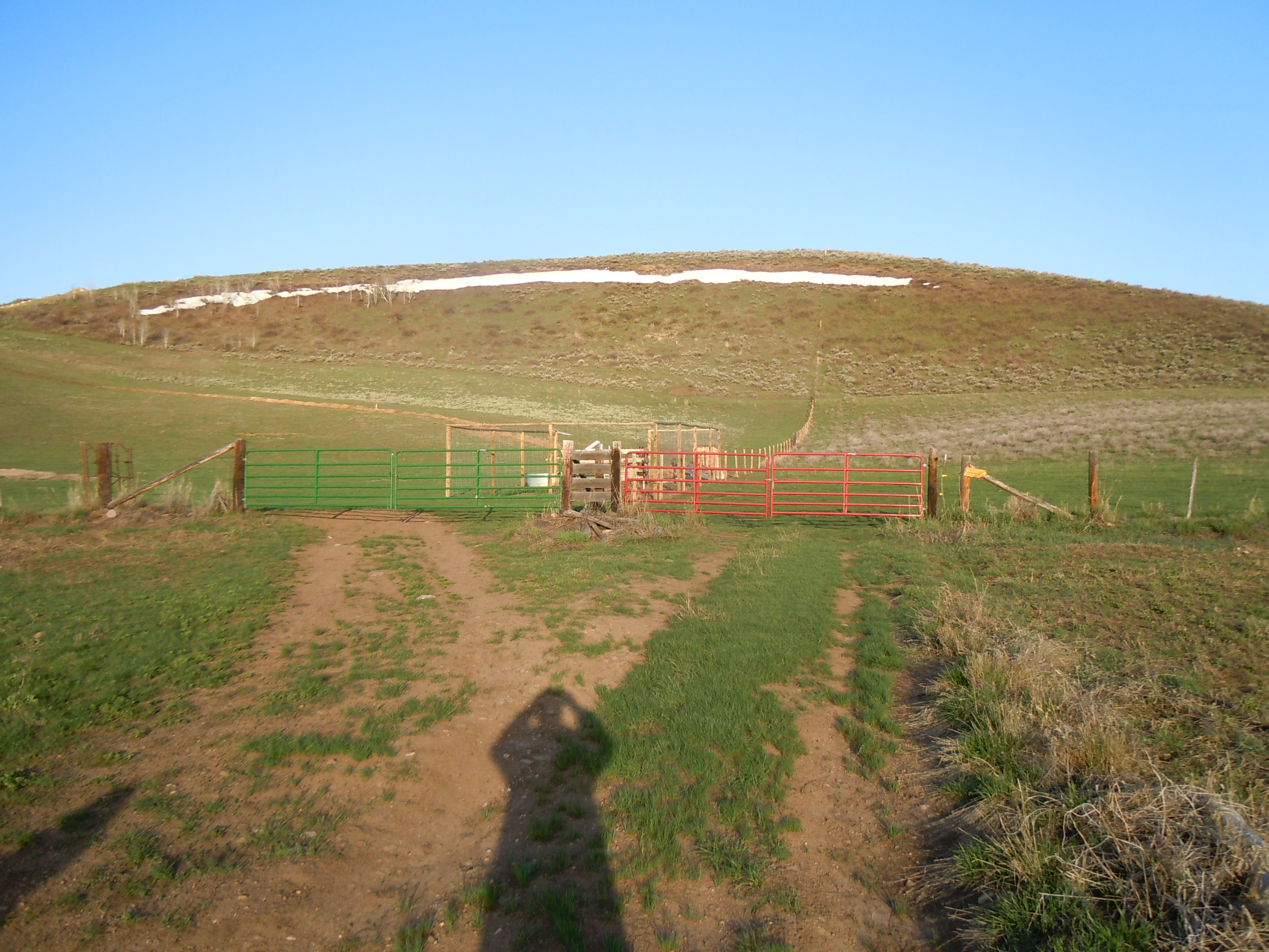 DSCN3537.JPG