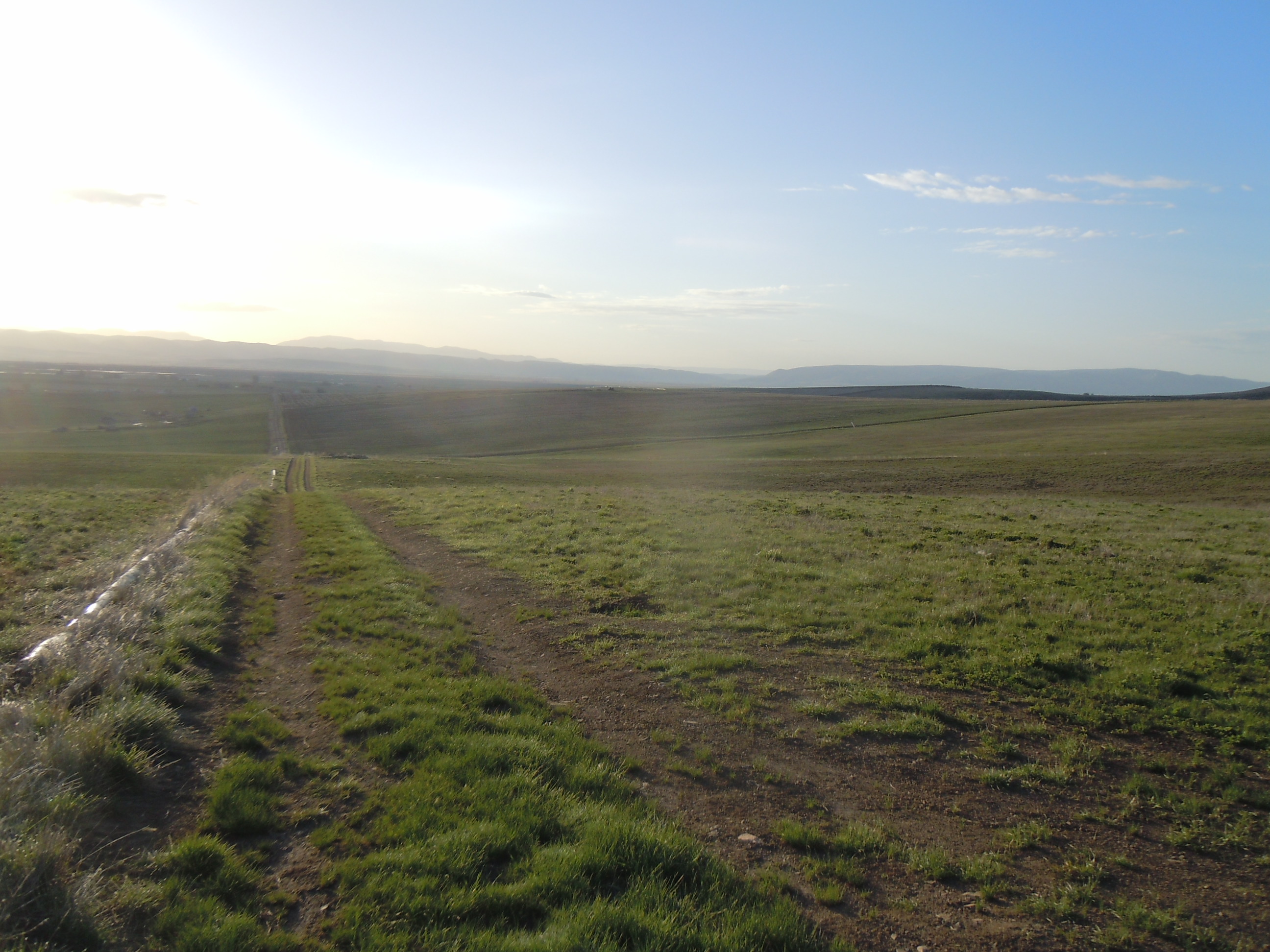DSCN3539.JPG