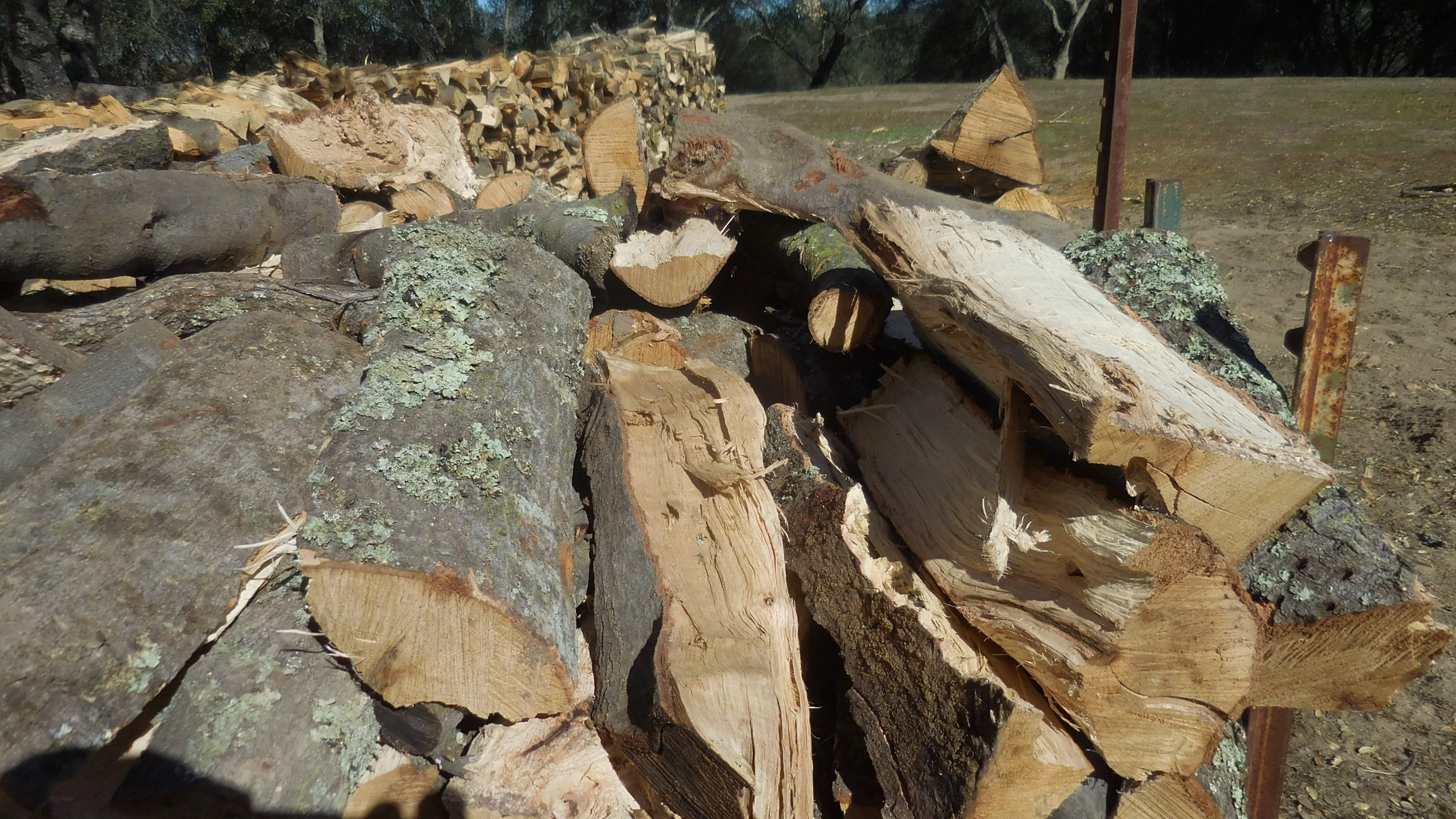 DSCN3609.JPG
