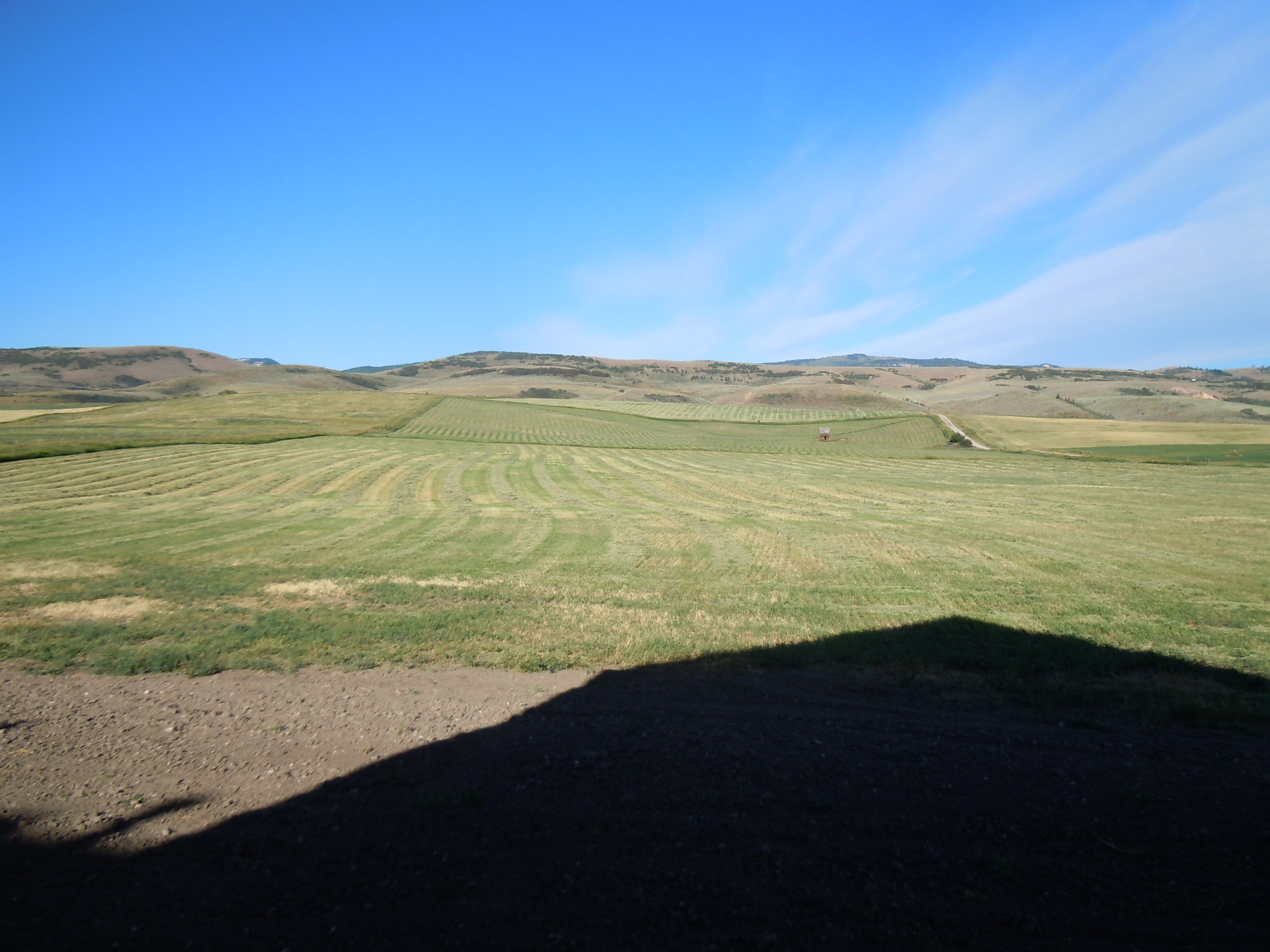 DSCN3619.JPG