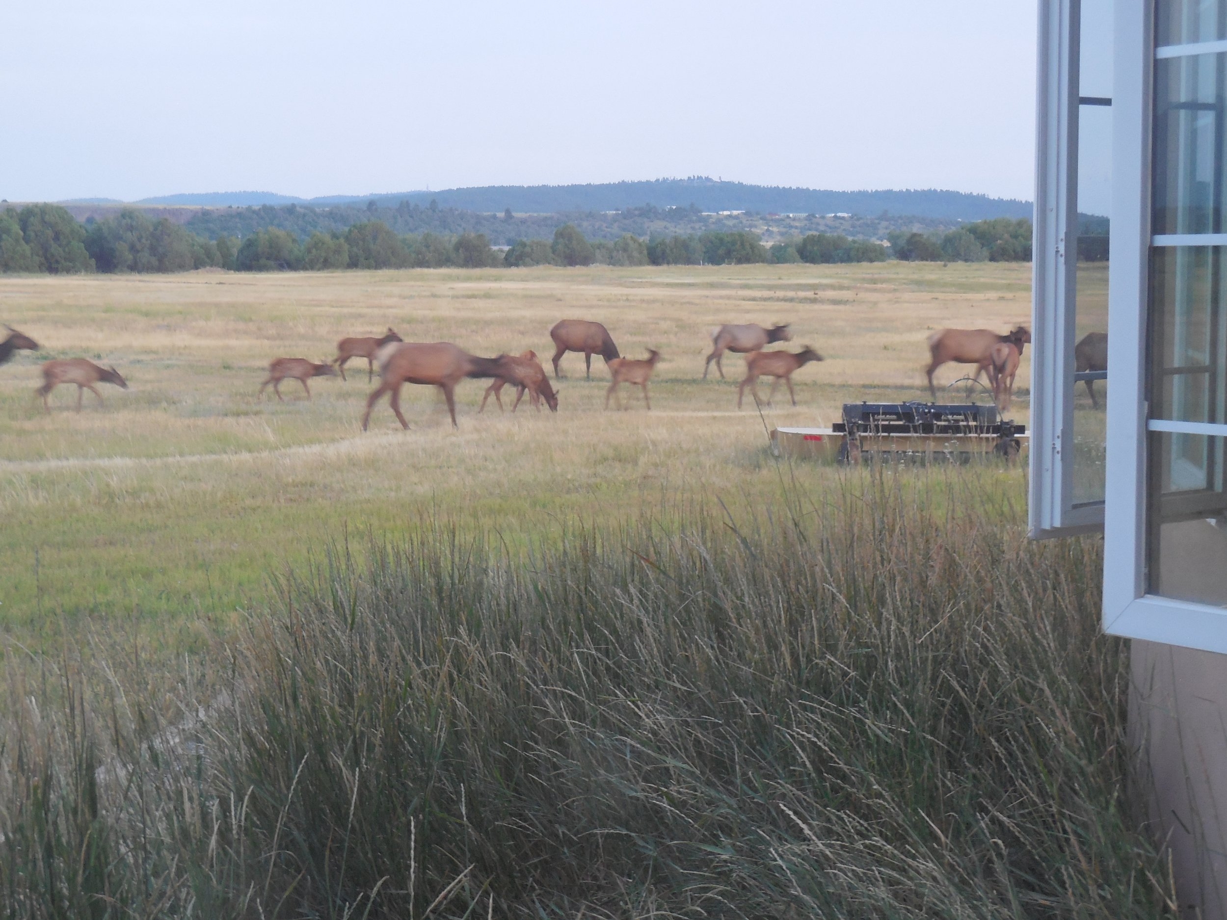 DSCN4975.JPG