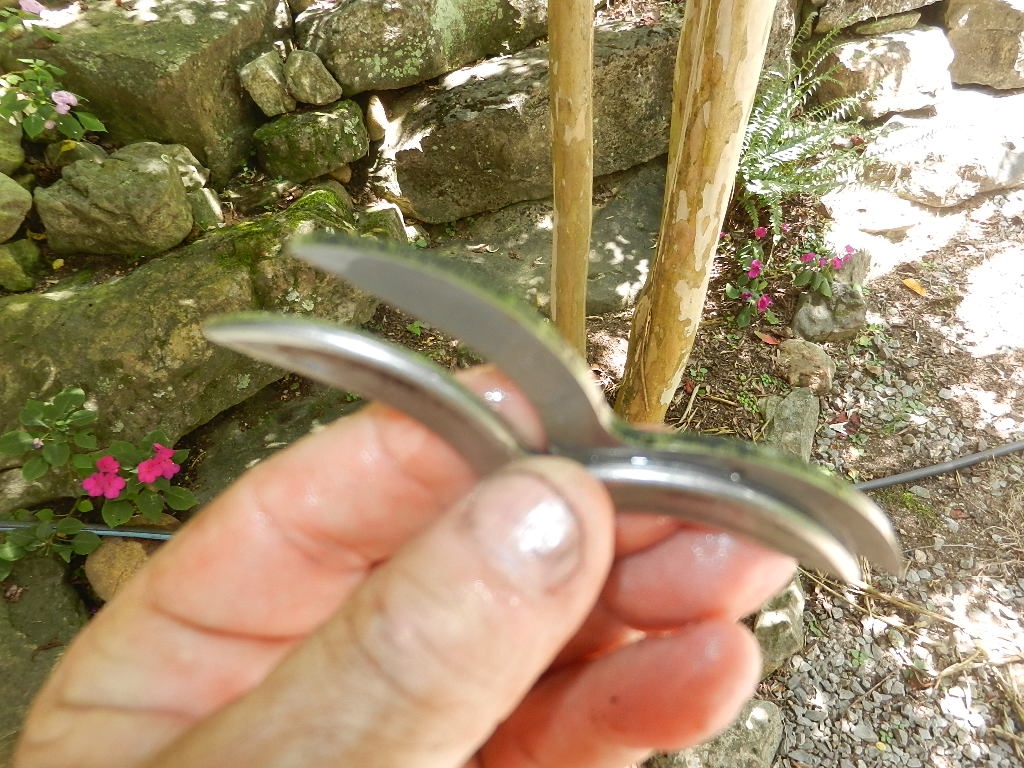 DSCN8390.JPG