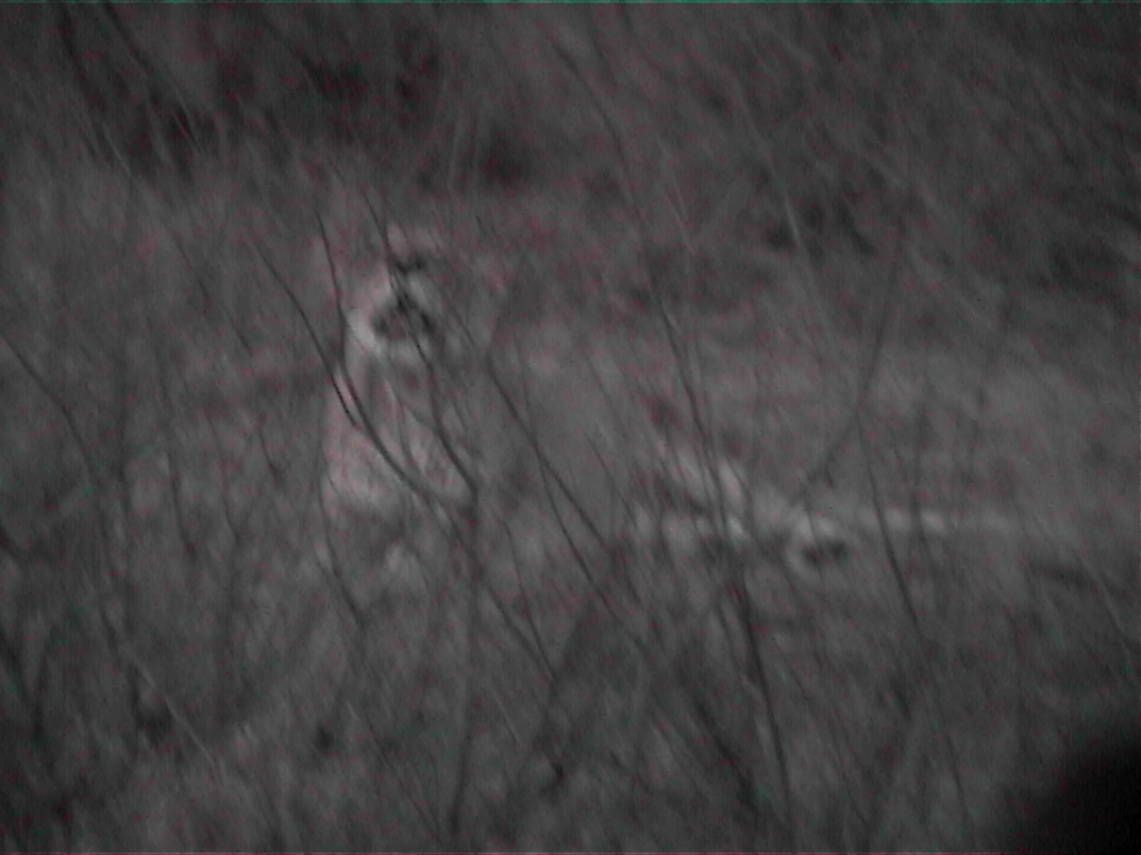 DVC00007.JPG