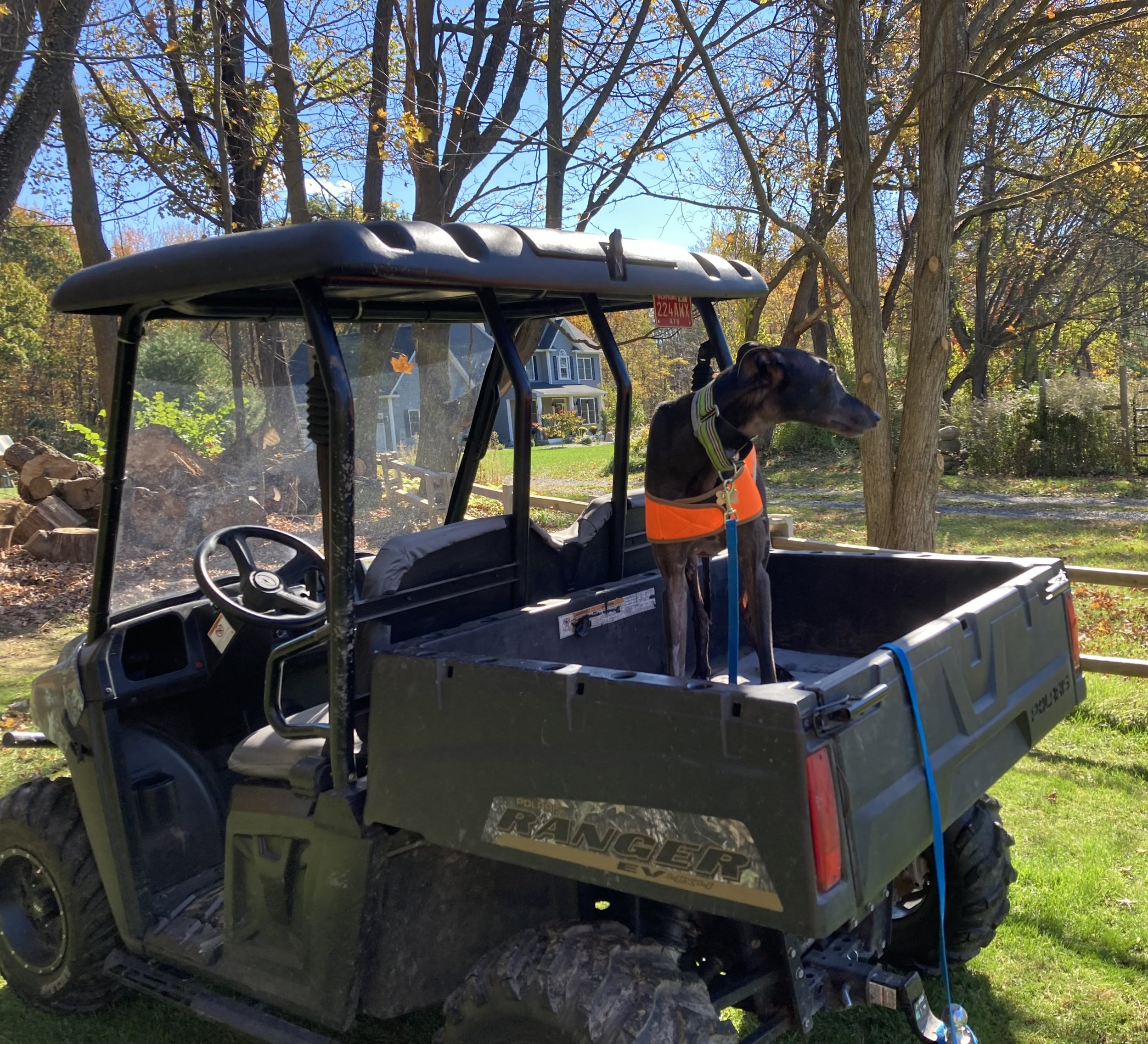 E550EFBE-335D-450D-8566-9B0991BC0787.jpeg E550EFBE-335D-450D-8566-9B0991BC0787.jpeg