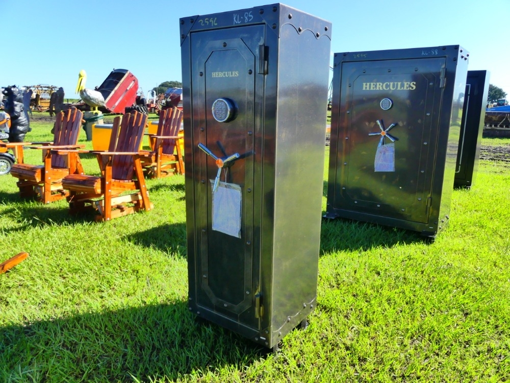 Hercules Safe (A53316)