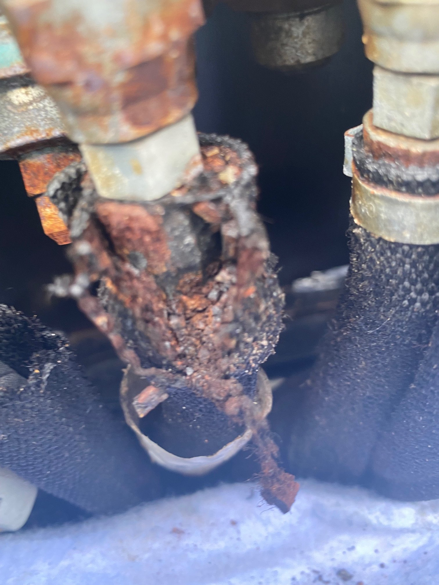 EB748A7D-643D-41BC-9529-24138BE105AF.jpeg EB748A7D-643D-41BC-9529-24138BE105AF.jpeg