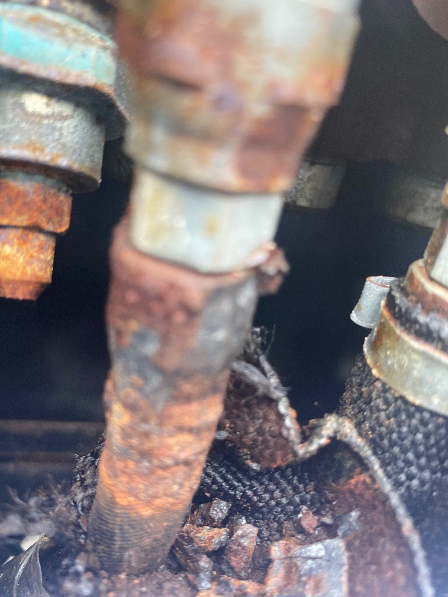 EE31FB45-4149-4B13-BAB4-3D4992B7DF29.jpeg EE31FB45-4149-4B13-BAB4-3D4992B7DF29.jpeg