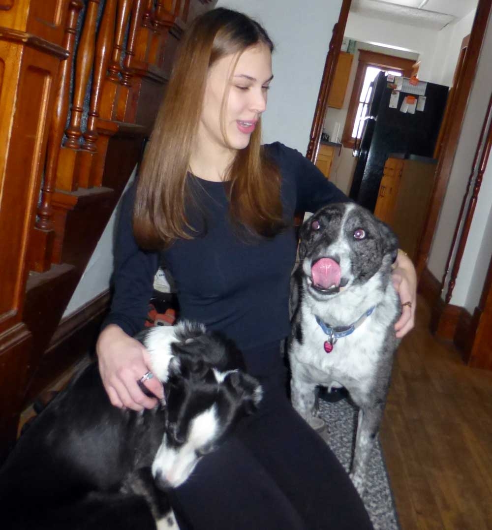 elladogs0574.jpg
