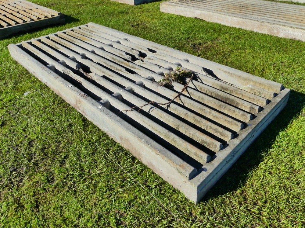 16' Cattle Guard (A53316)
