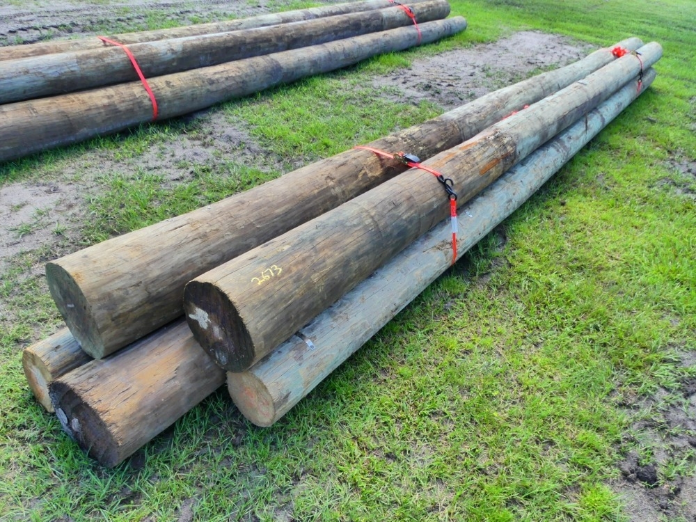 (10) 22' Wood Poles (A53316)