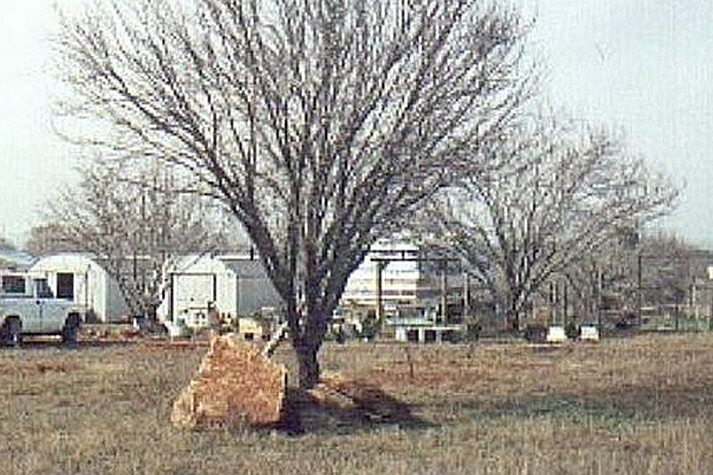 Field Rocks.jpg