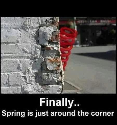 Finally Spring Corner.jpg