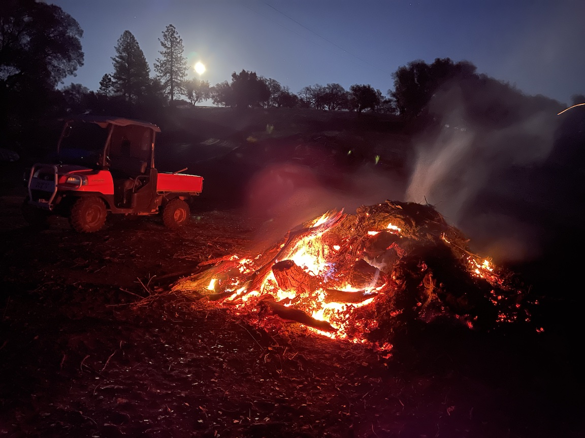 fireBuggy.jpg