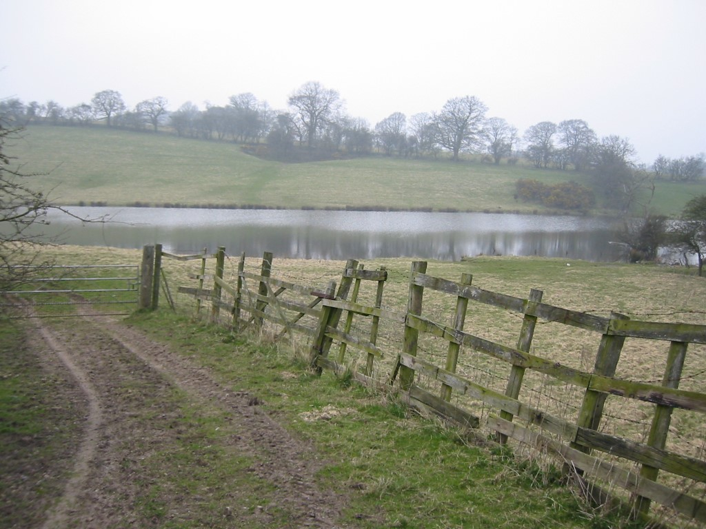 First view.jpg