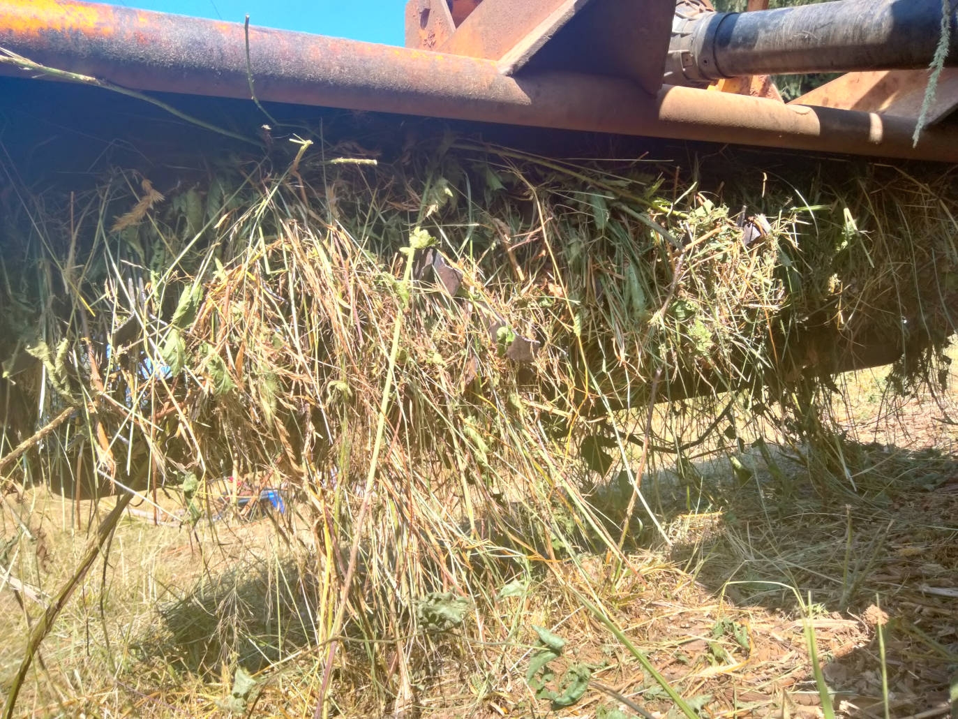 FlailMowerOops1.jpg