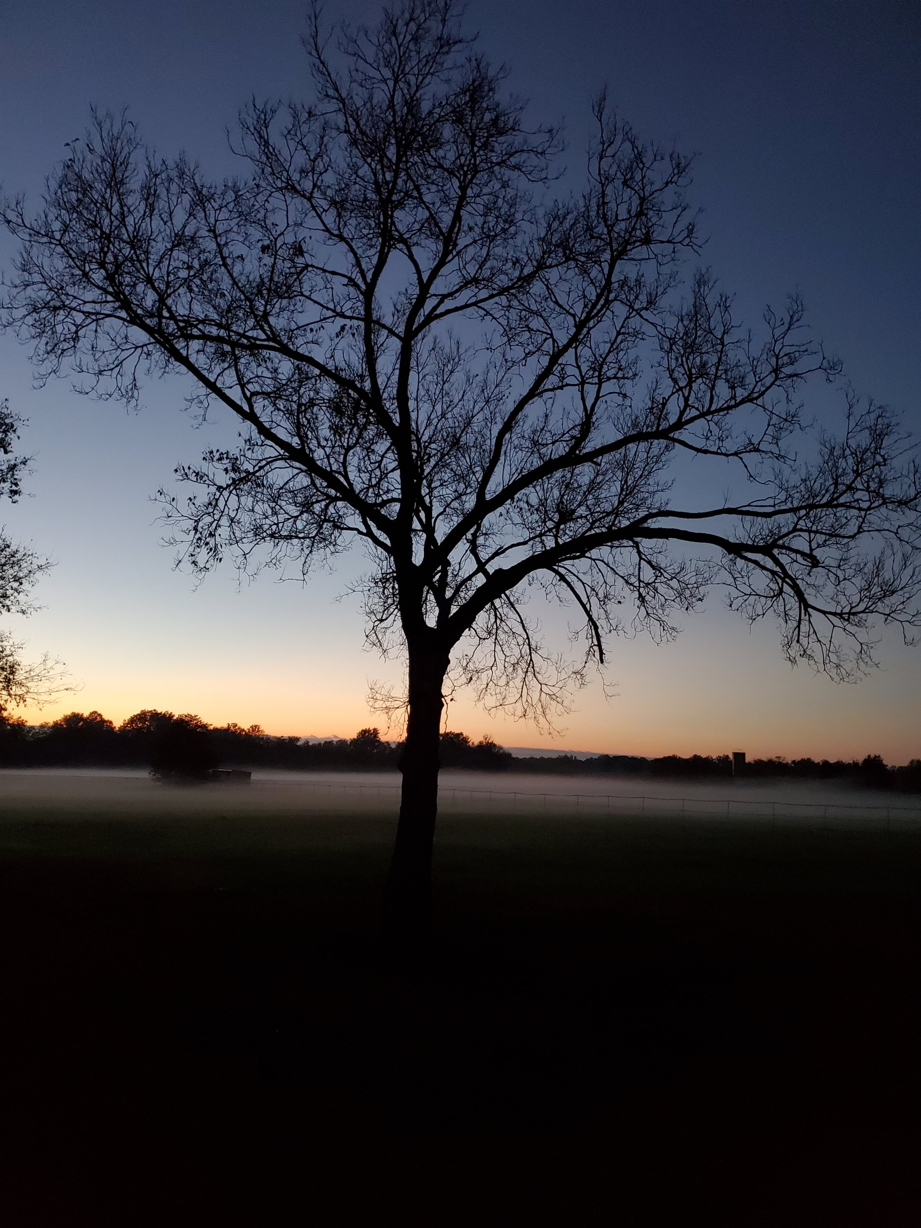 Fog rolling in.jpg