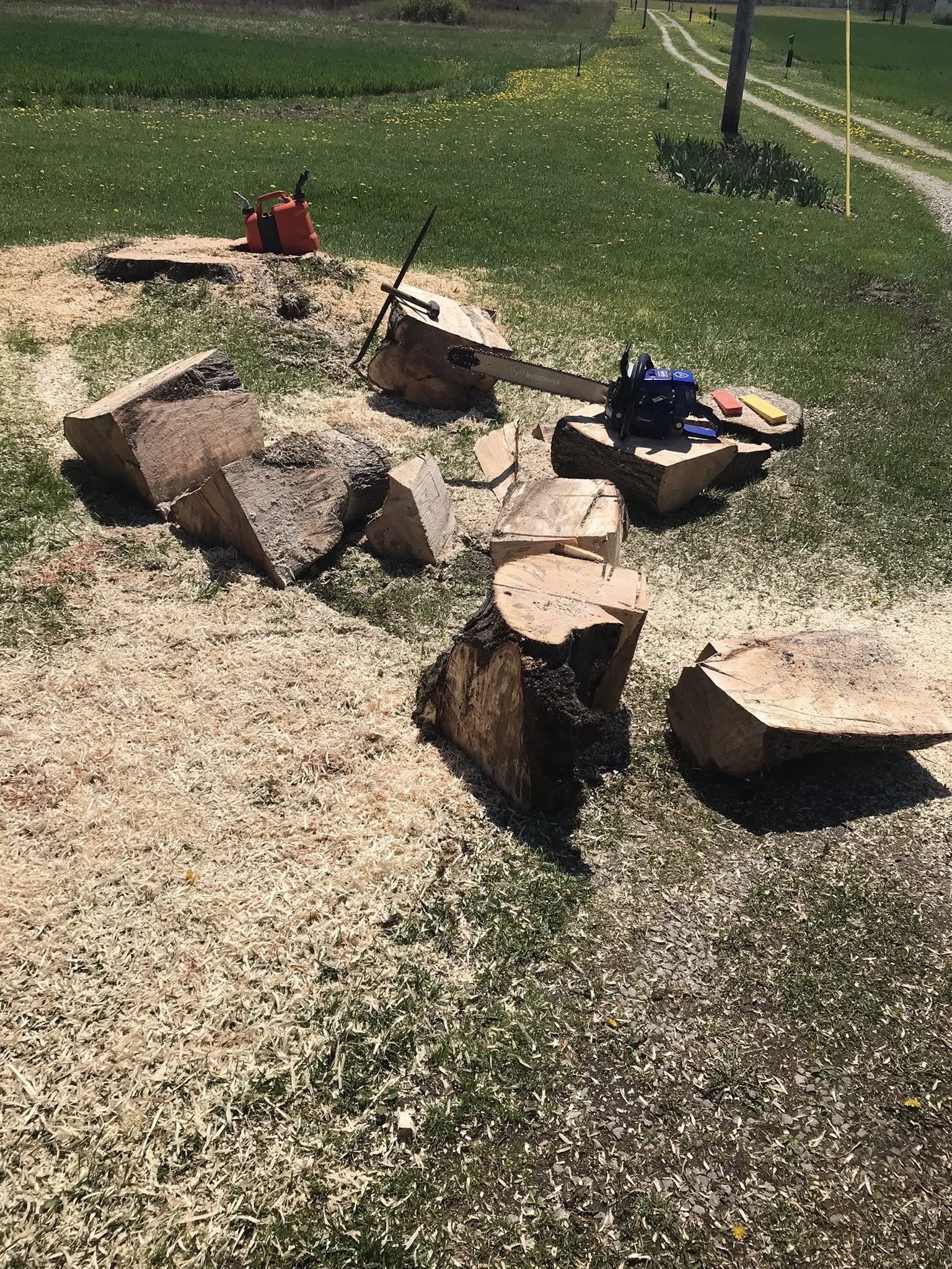 g444stumpchunk.jpg