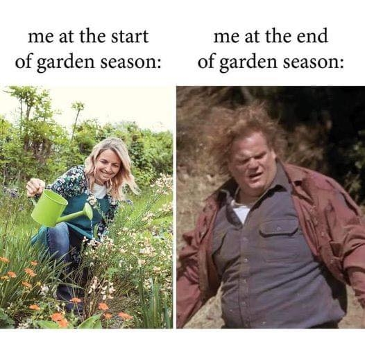 garden funny.jpeg