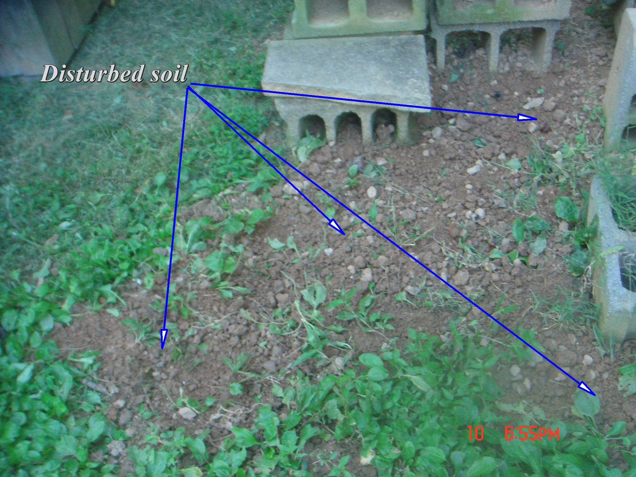 Ground Feed Shed Area (6).JPG