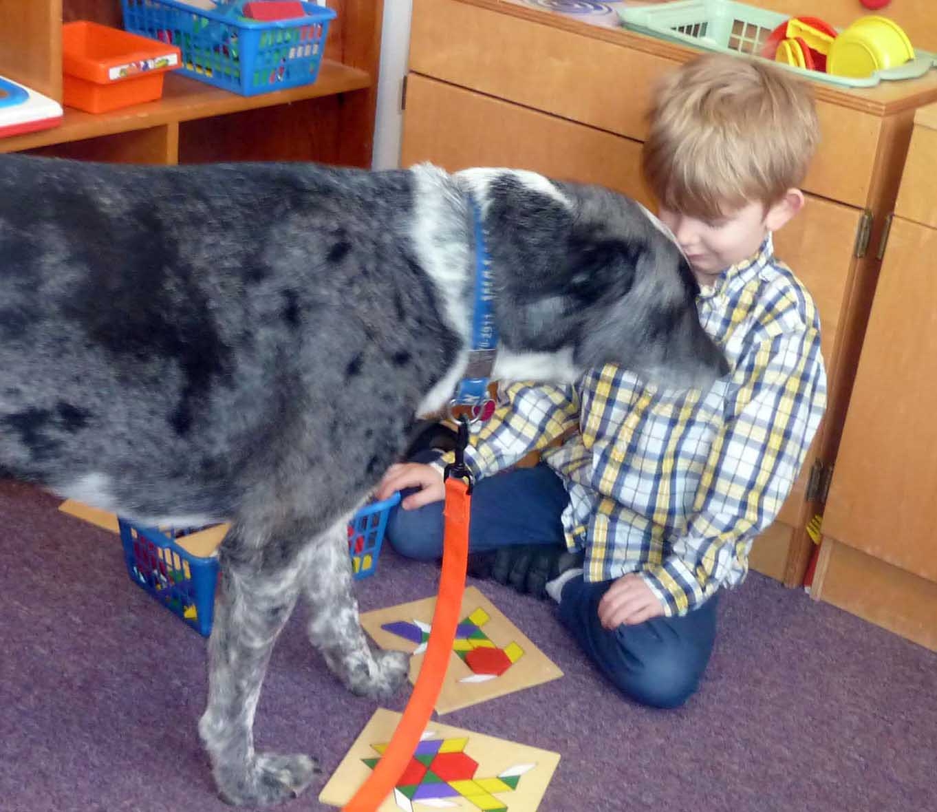gsdogs0494.jpg