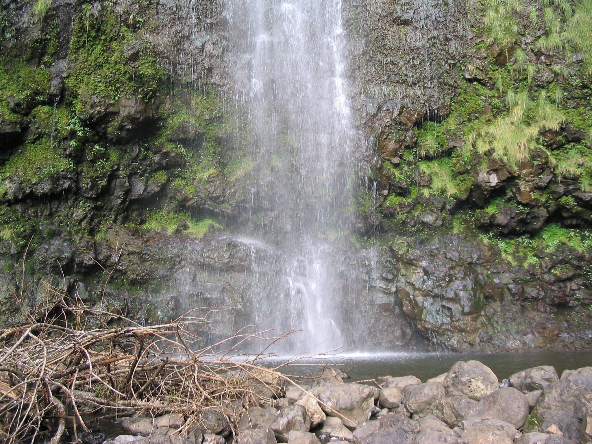 Hawaii Trip 242.jpg