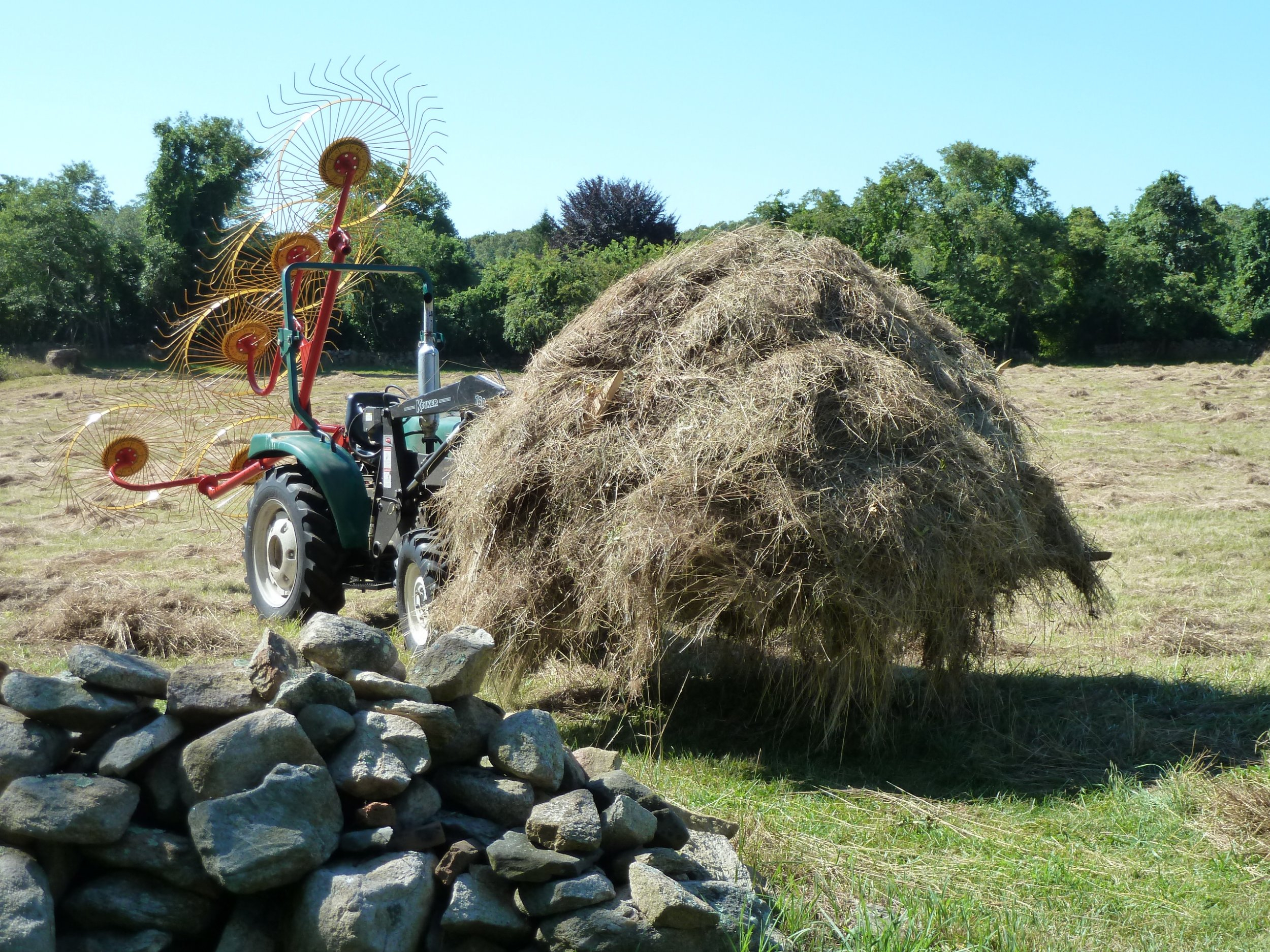 hay1.JPG
