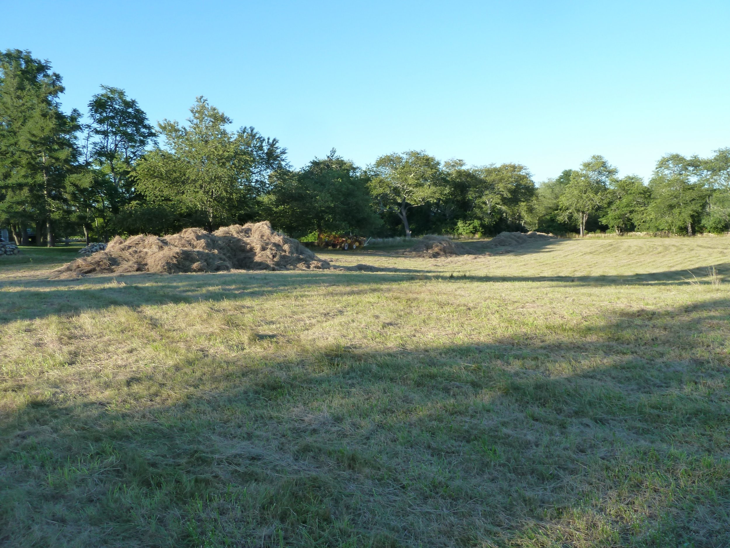 hay2.JPG