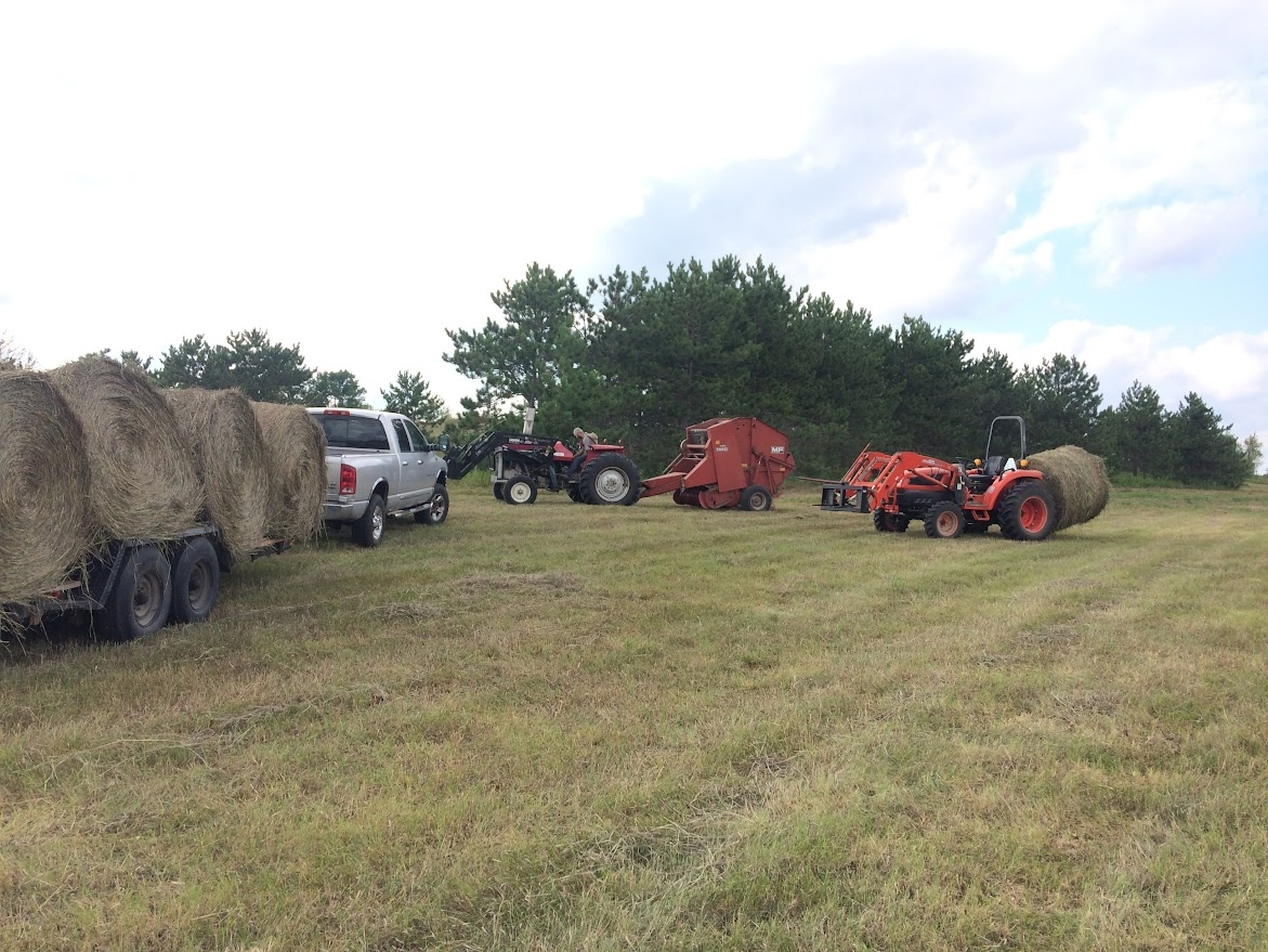 hayloading.JPG