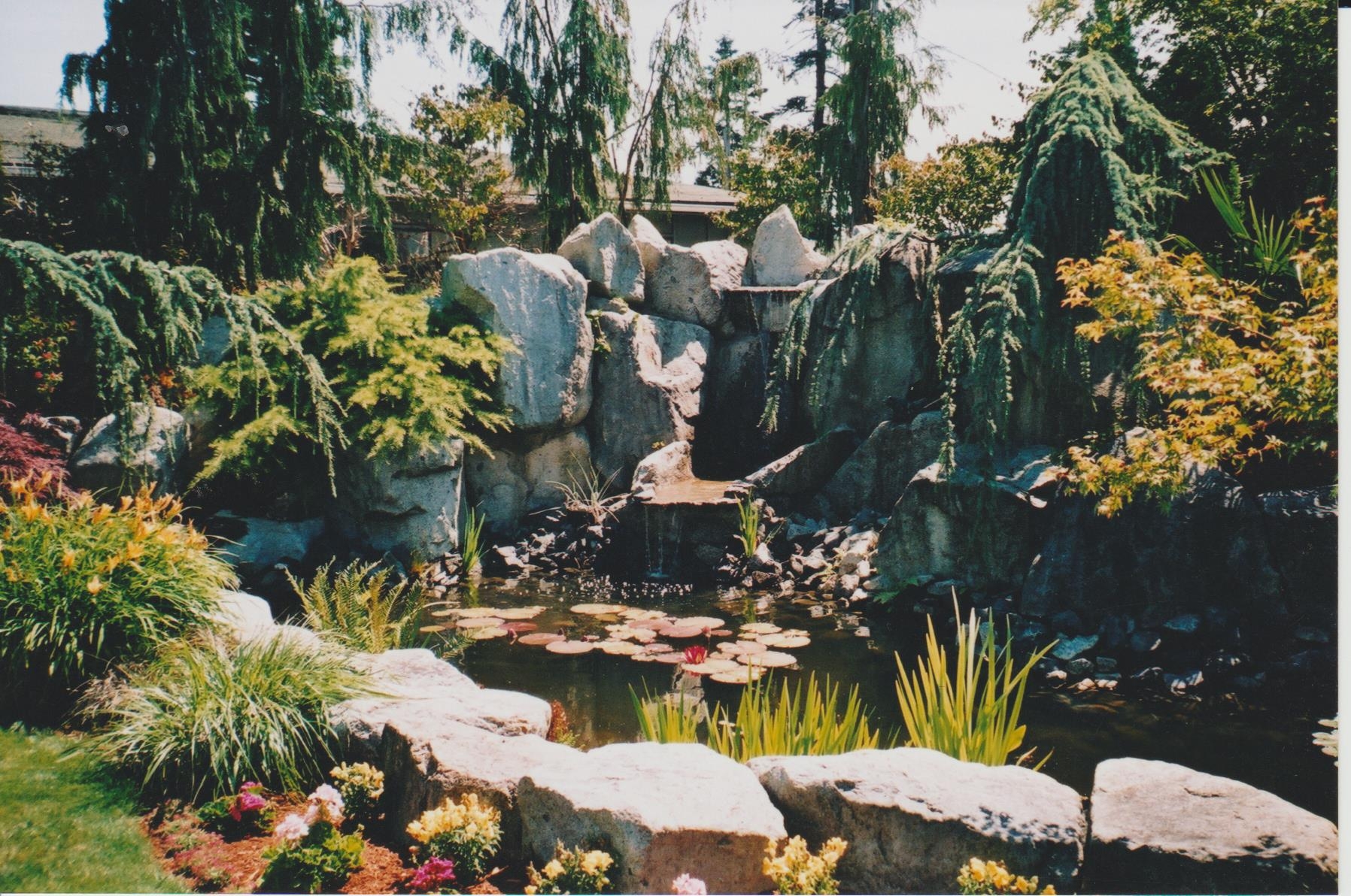 Image (22).jpg