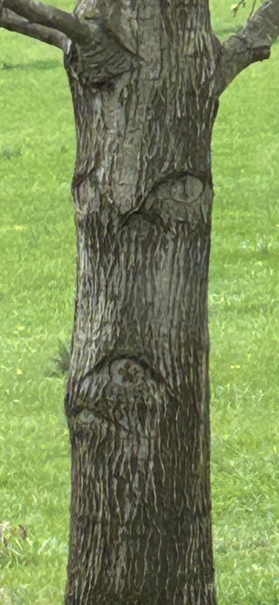 IMG_0473.jpeg