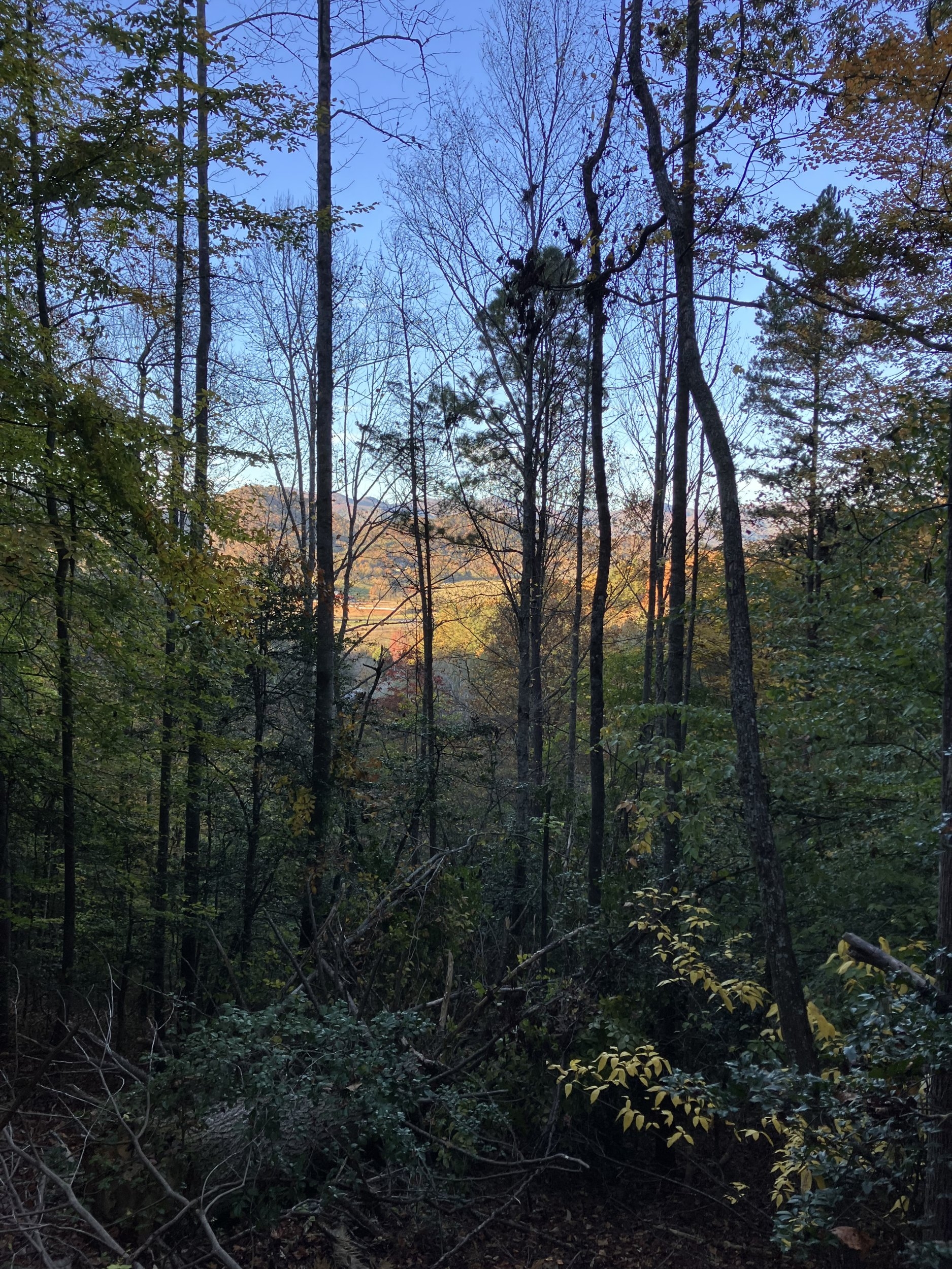 IMG_0779.jpeg