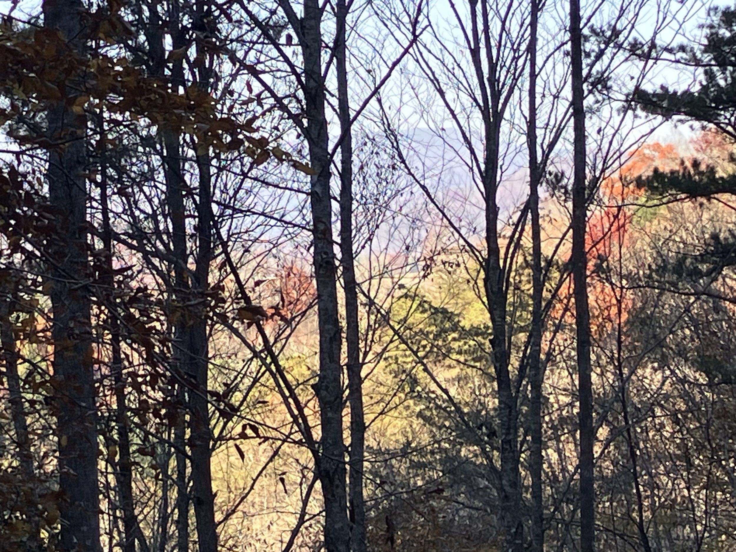 IMG_0847.jpeg
