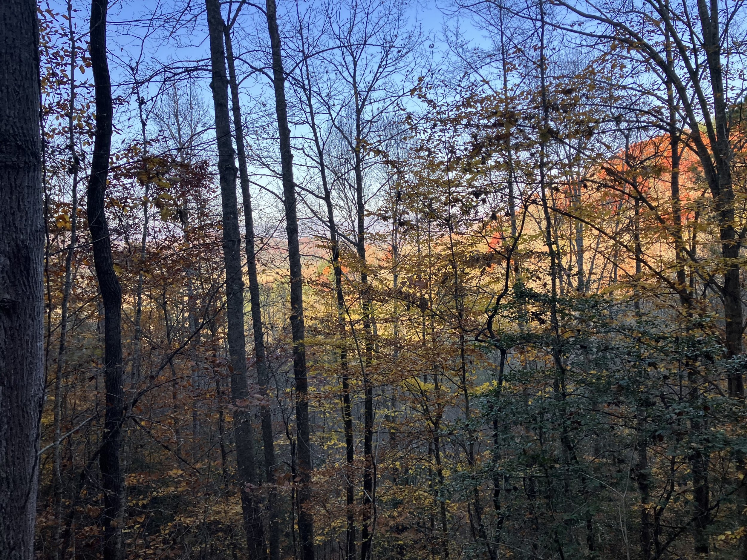 IMG_0848.jpeg
