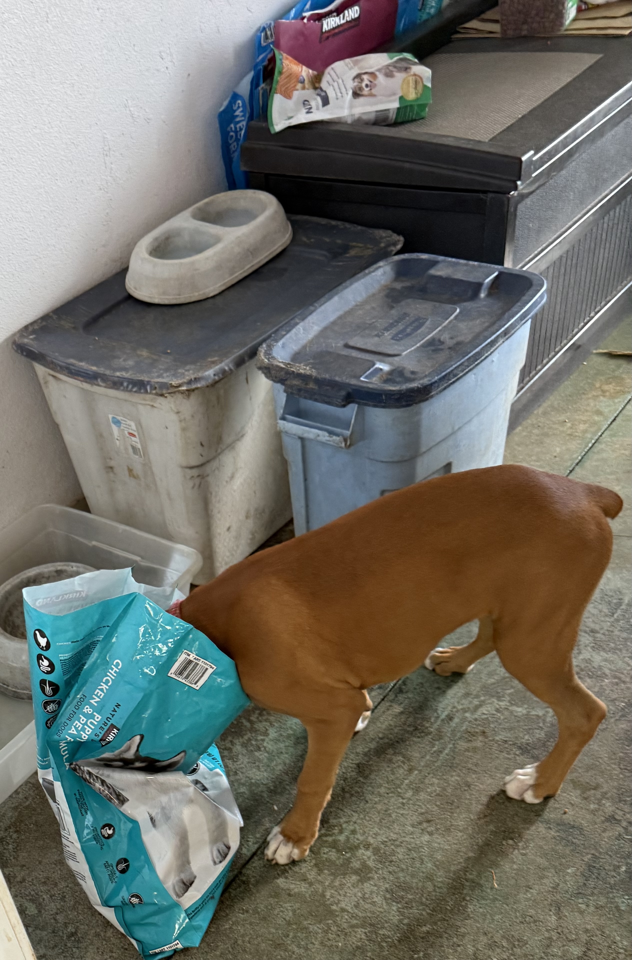 IMG_0858.jpeg