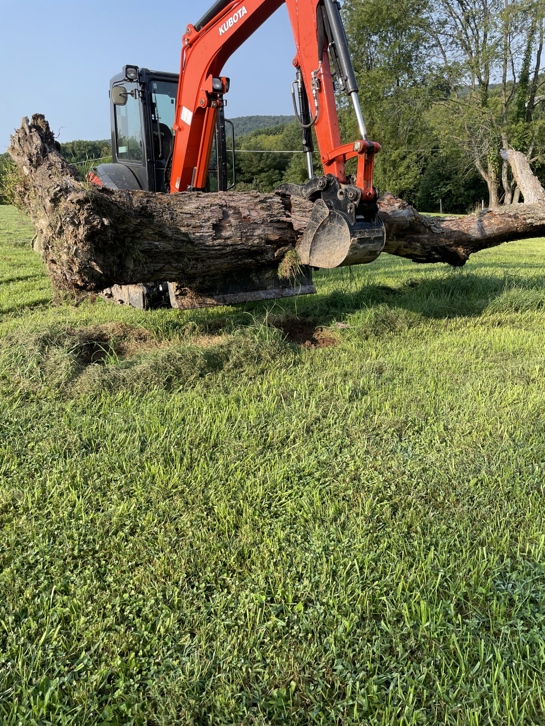 IMG_1041.jpeg IMG_1041.jpeg