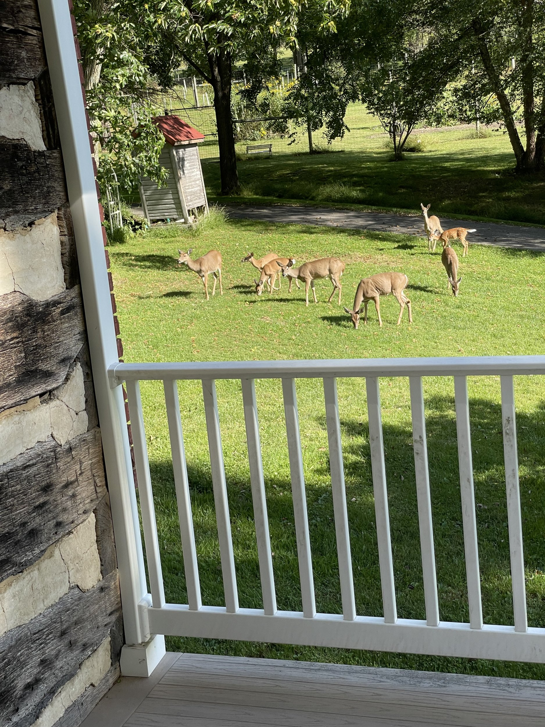 IMG_1070.jpeg IMG_1070.jpeg