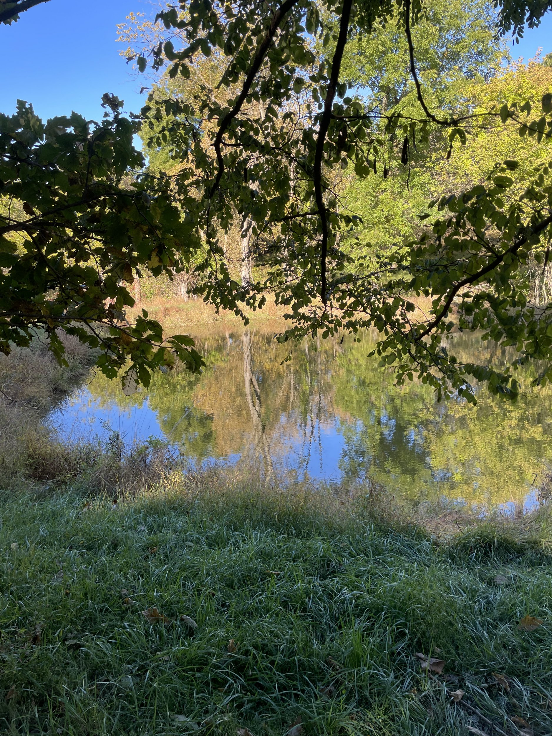 IMG_1124.jpeg