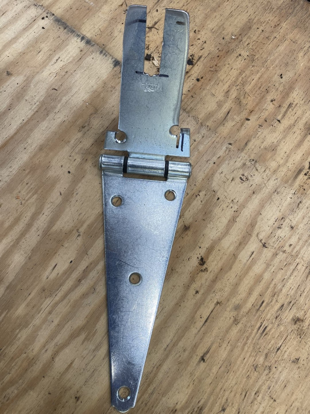 IMG_1354 (Large).jpeg