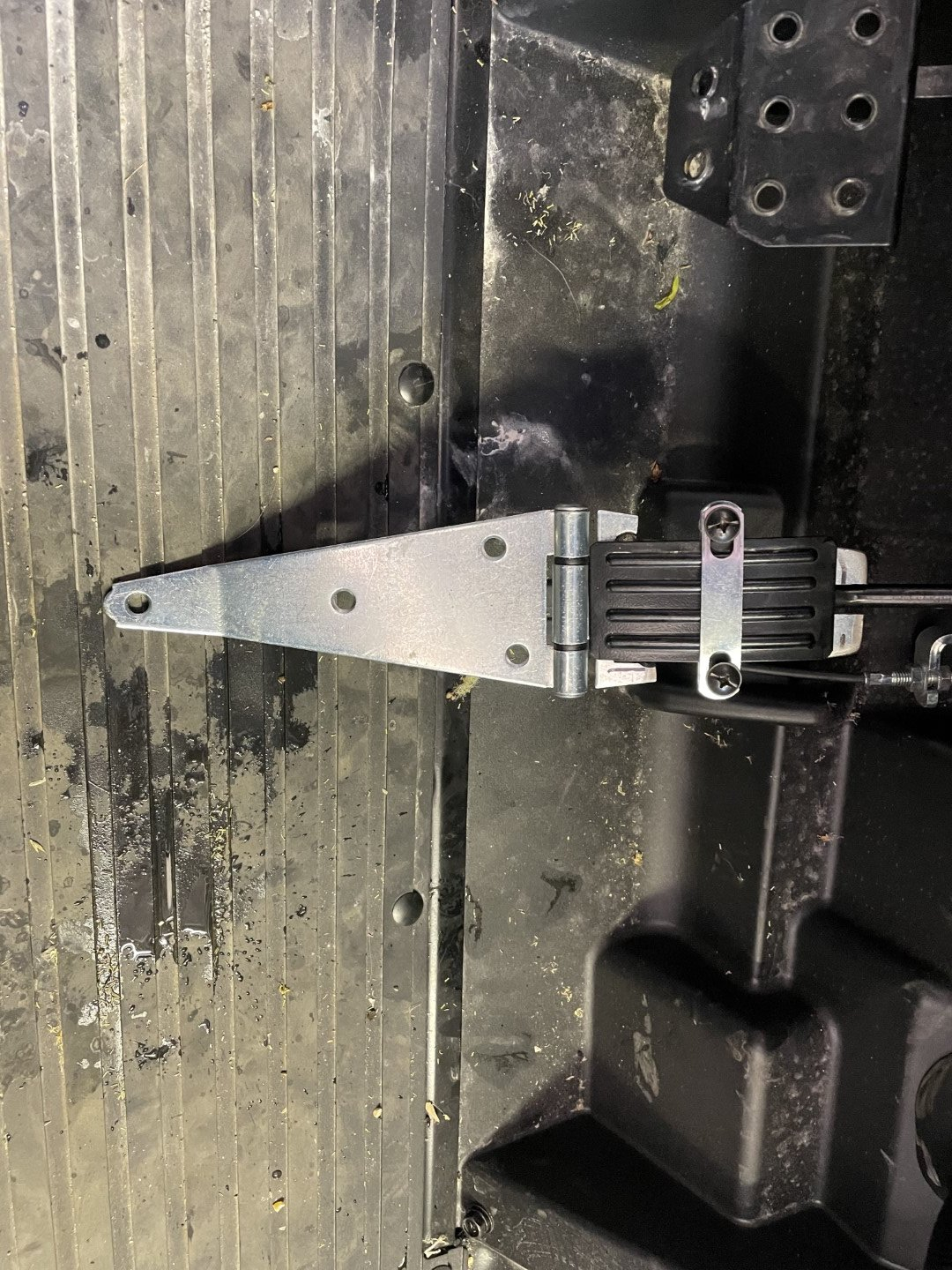 IMG_1355 (Large).jpeg