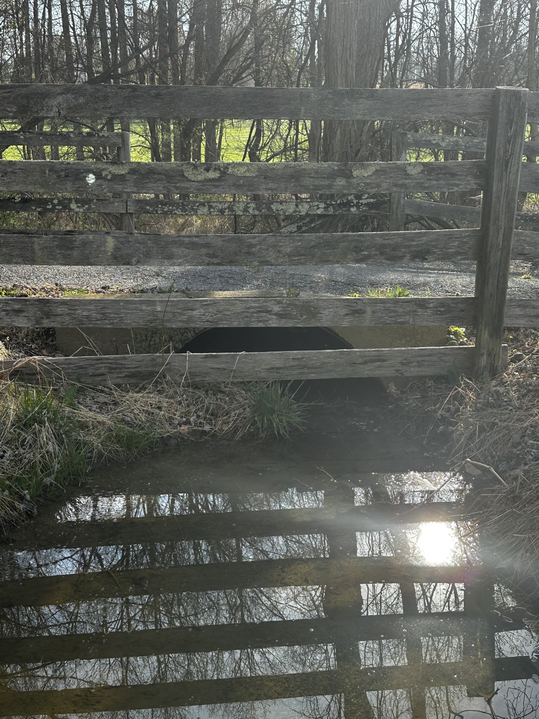 IMG_1827.jpeg