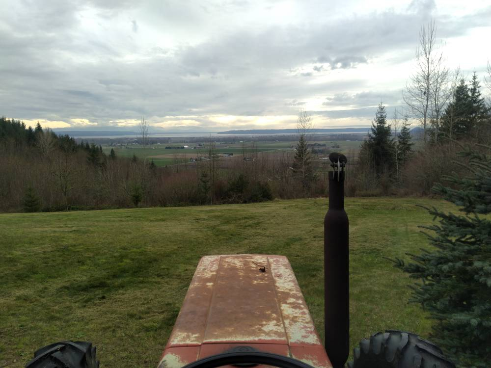 IMG_20210403_170426.jpeg