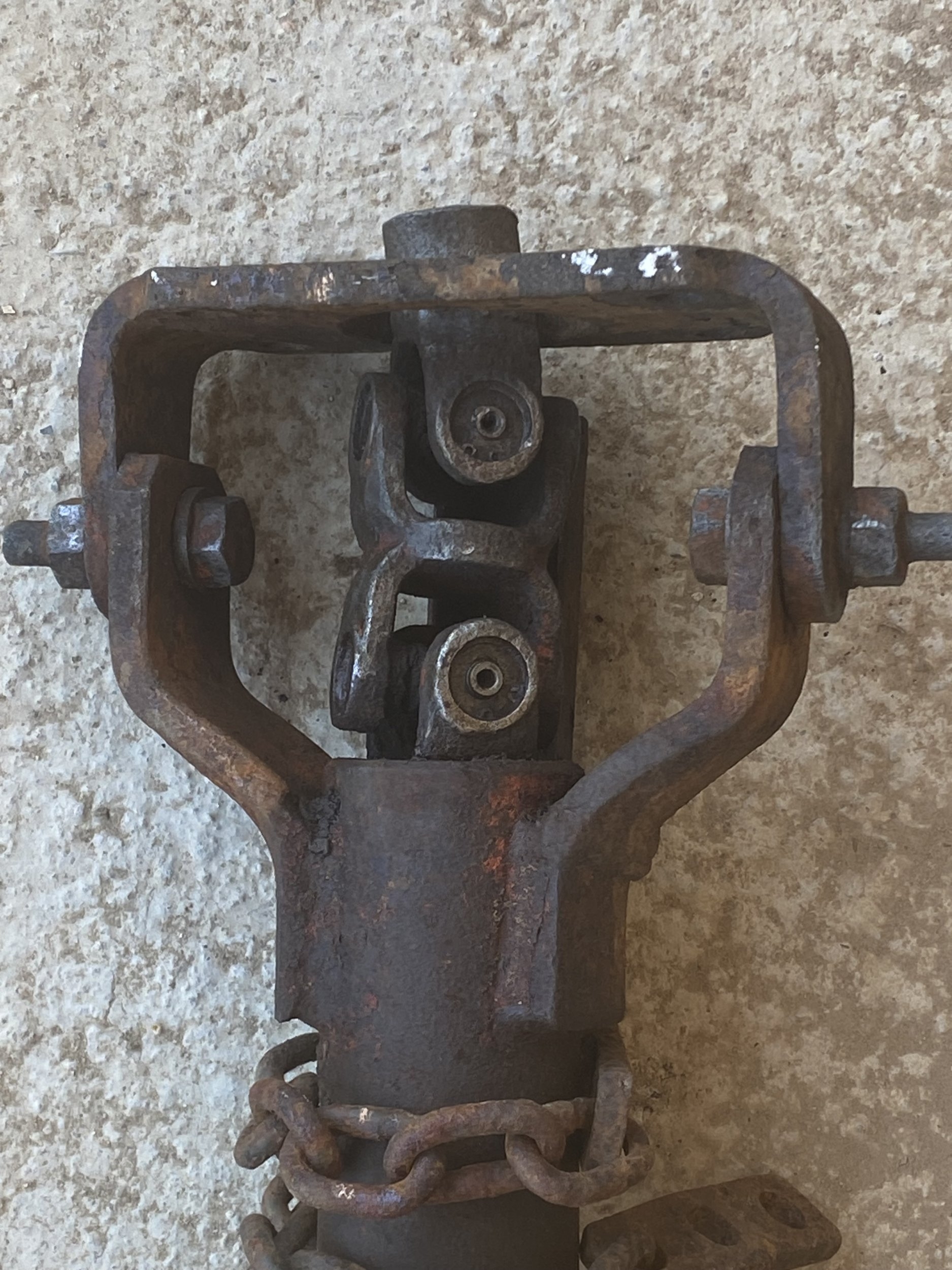 IMG_2381.jpeg IMG_2381.jpeg